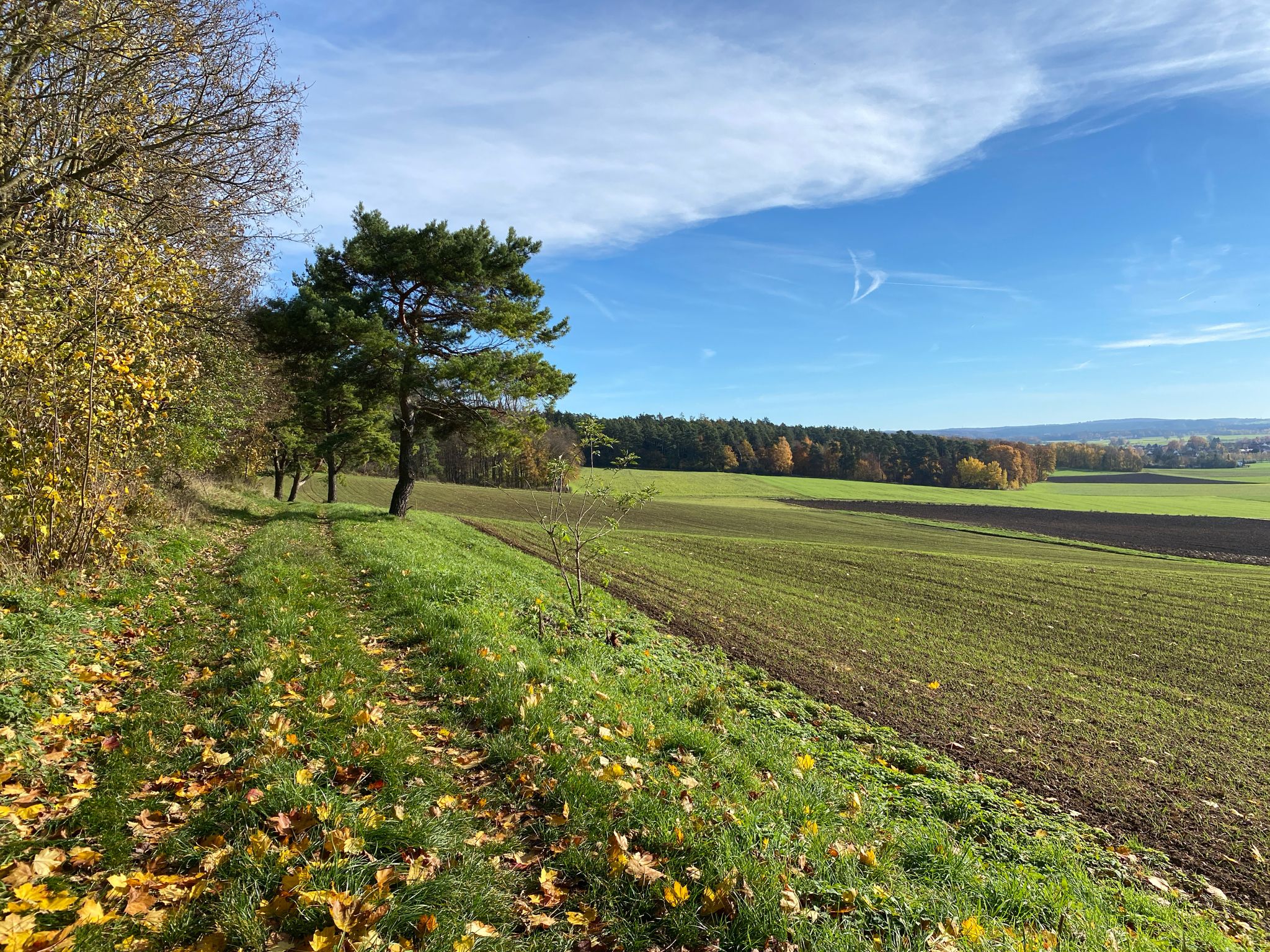 Wörnitztal-Riesrandweg