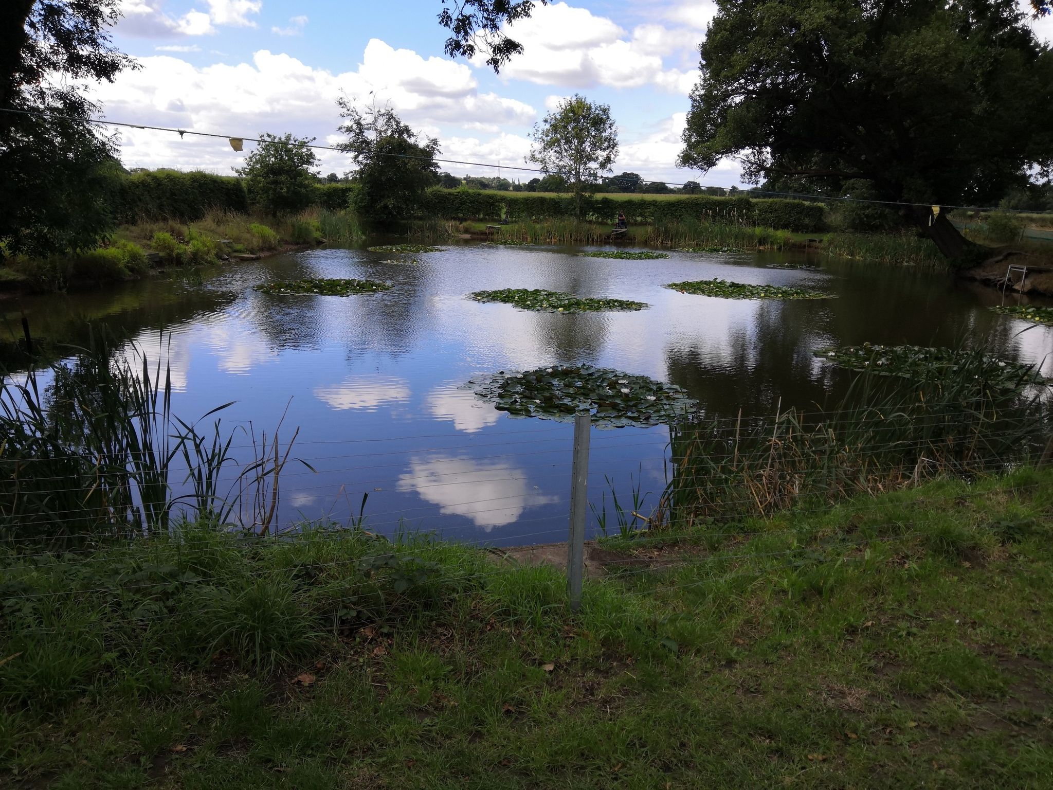 Winterley Pool