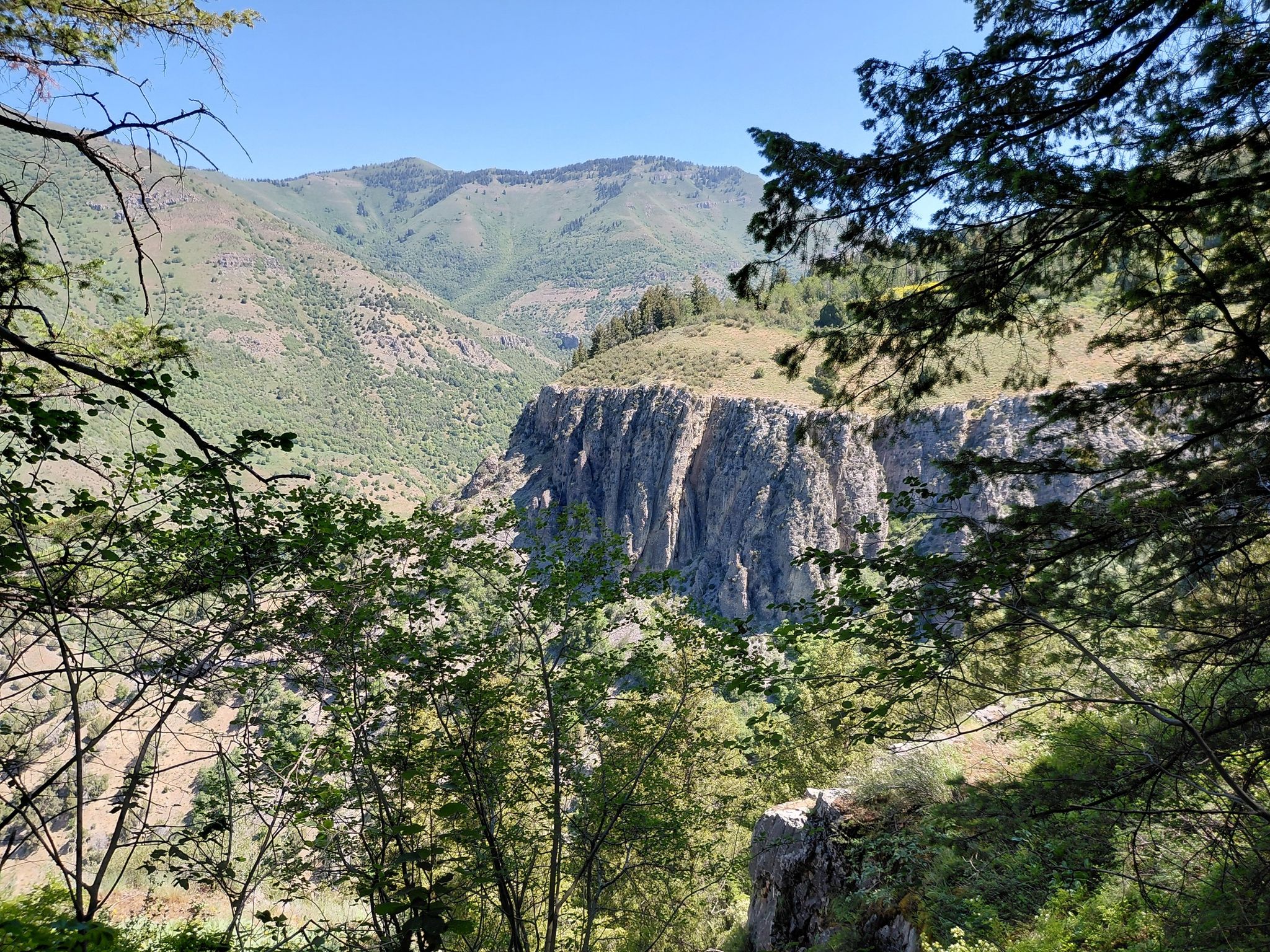 View through trees of a deep canyon with steep rock walls and distant mountains. - Crimson Trail Loop