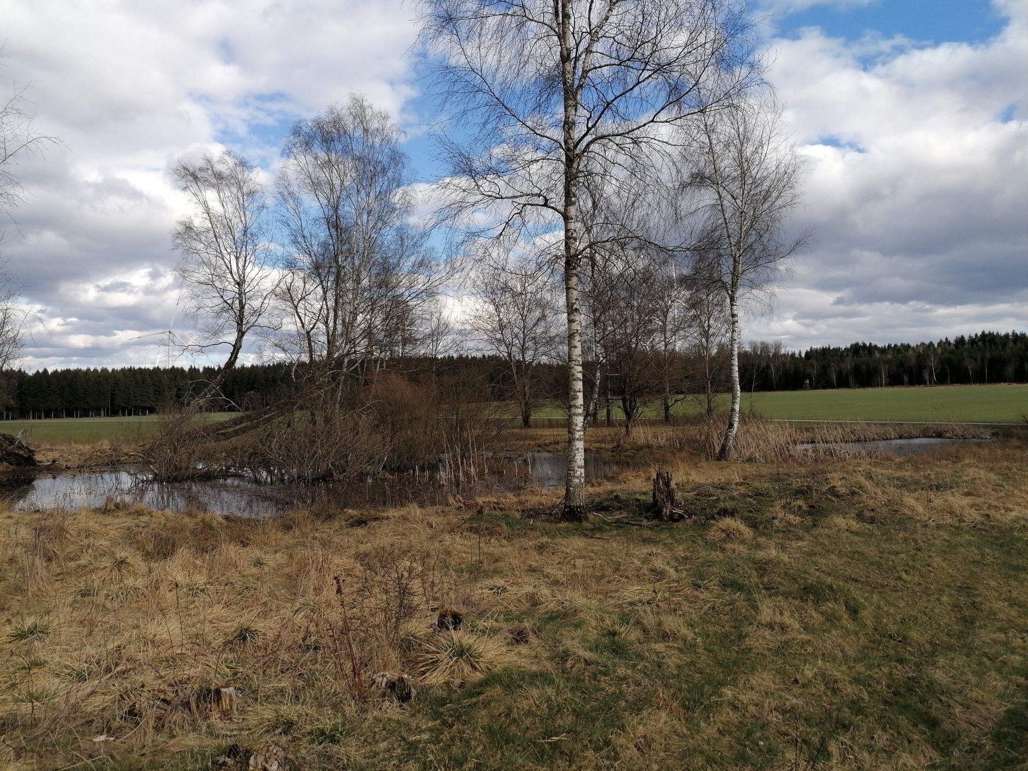 Falchenhülbe 
