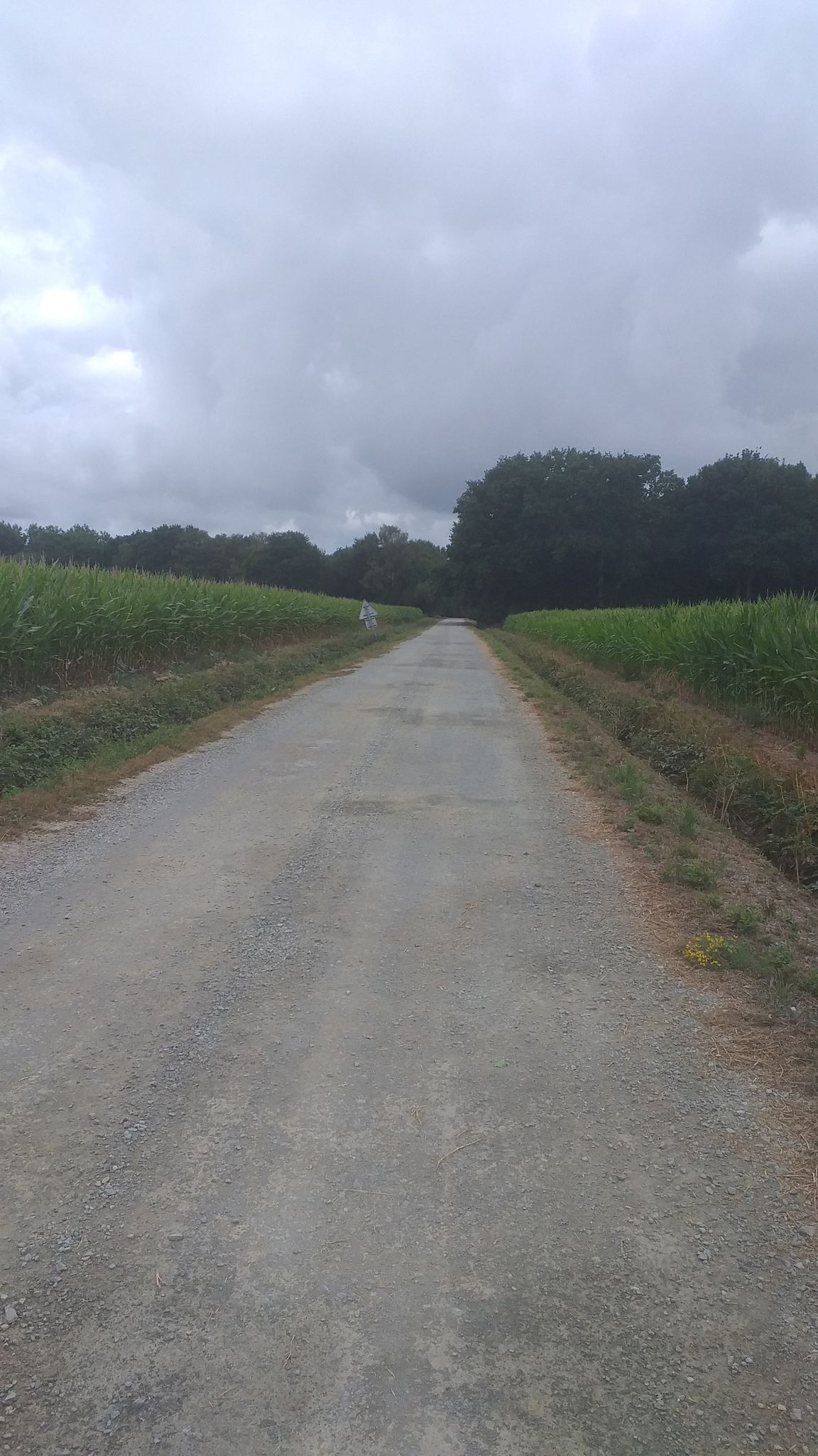 Section Gravel