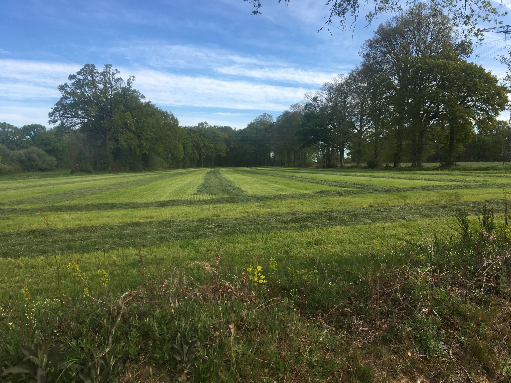 Beauté de la nature !!!!!
