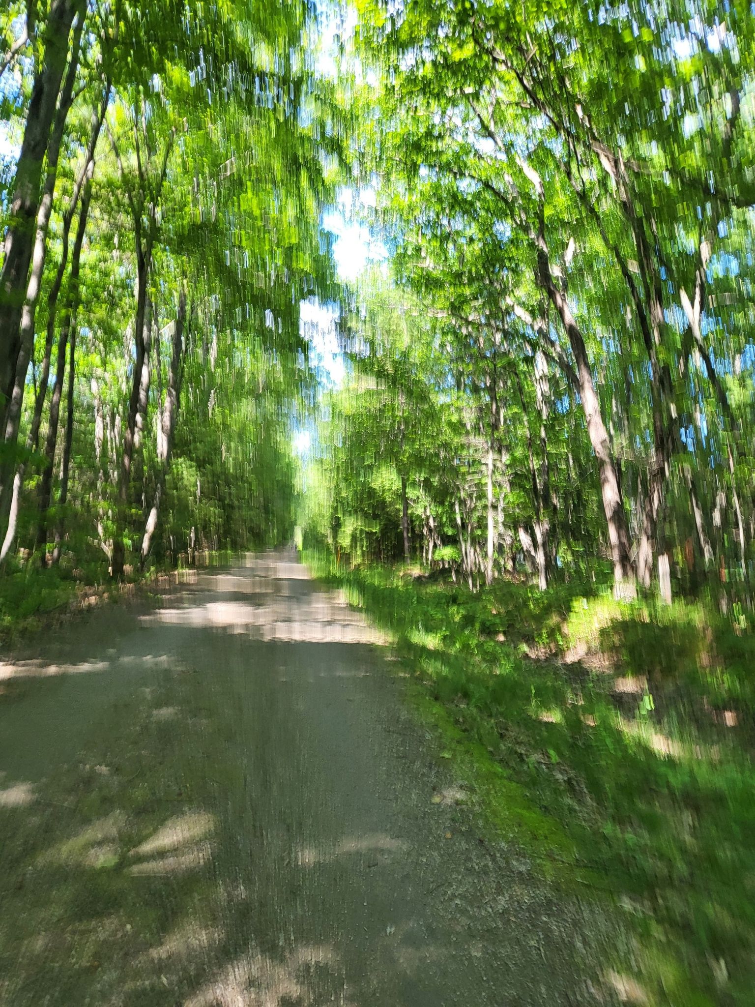 Blurry view of a sunny dirt road through a vibrant green forest. - Roadbike loop from Saco