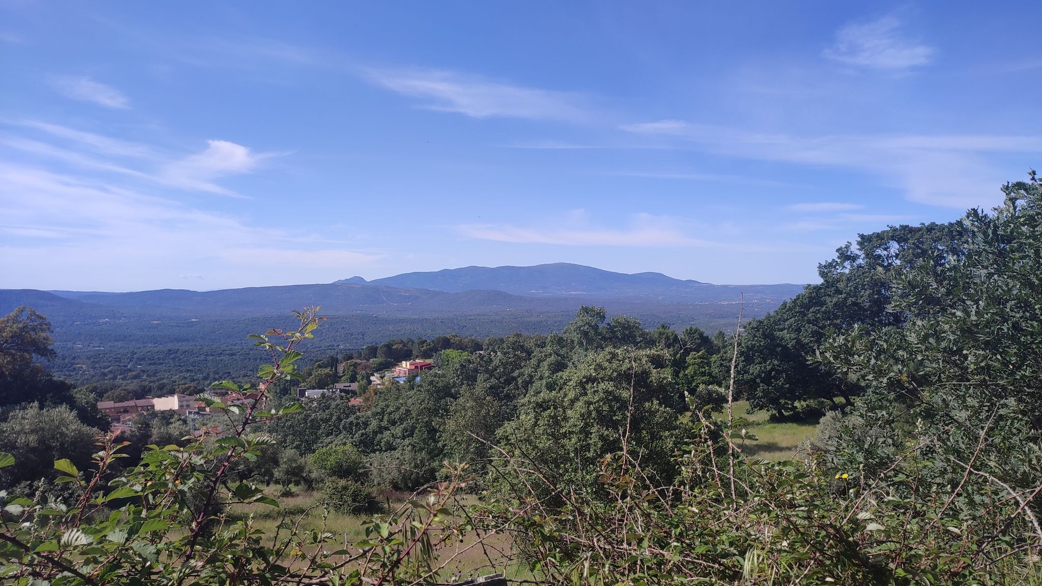 vista del Piélago