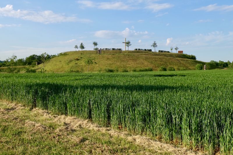 Papsthügel