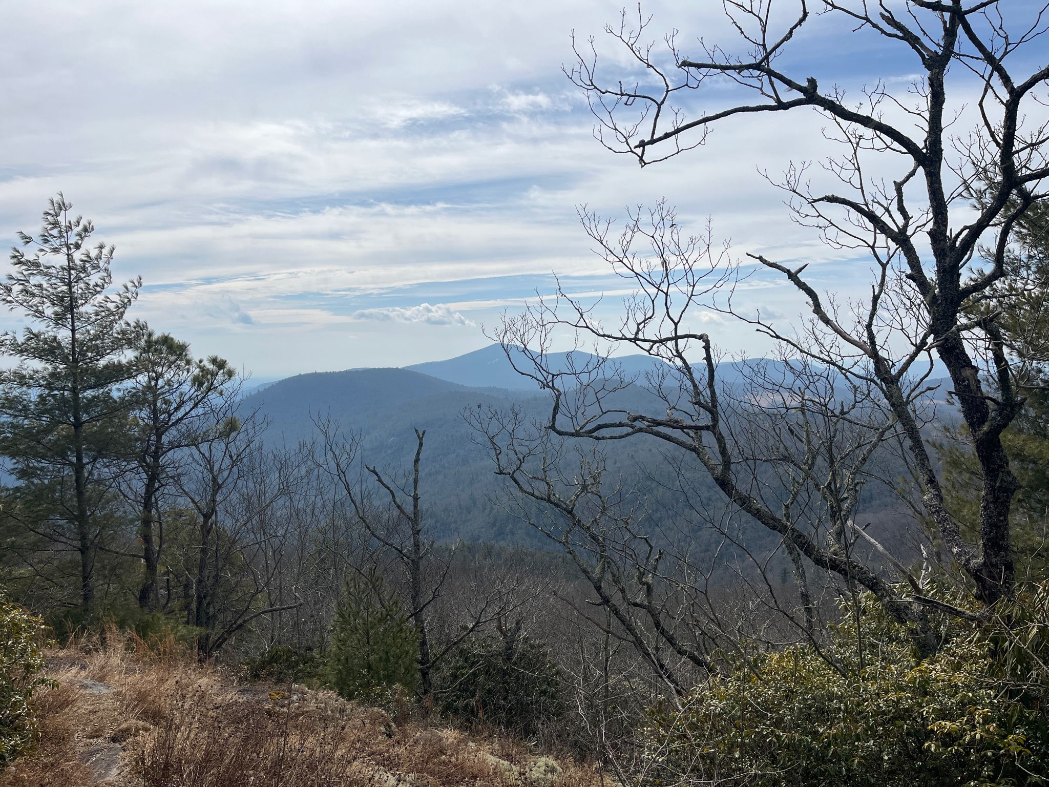 Overcast view of rolling mountains through bare tree branches and sparse foliage. - Scaly Mountain via Bartram Trail