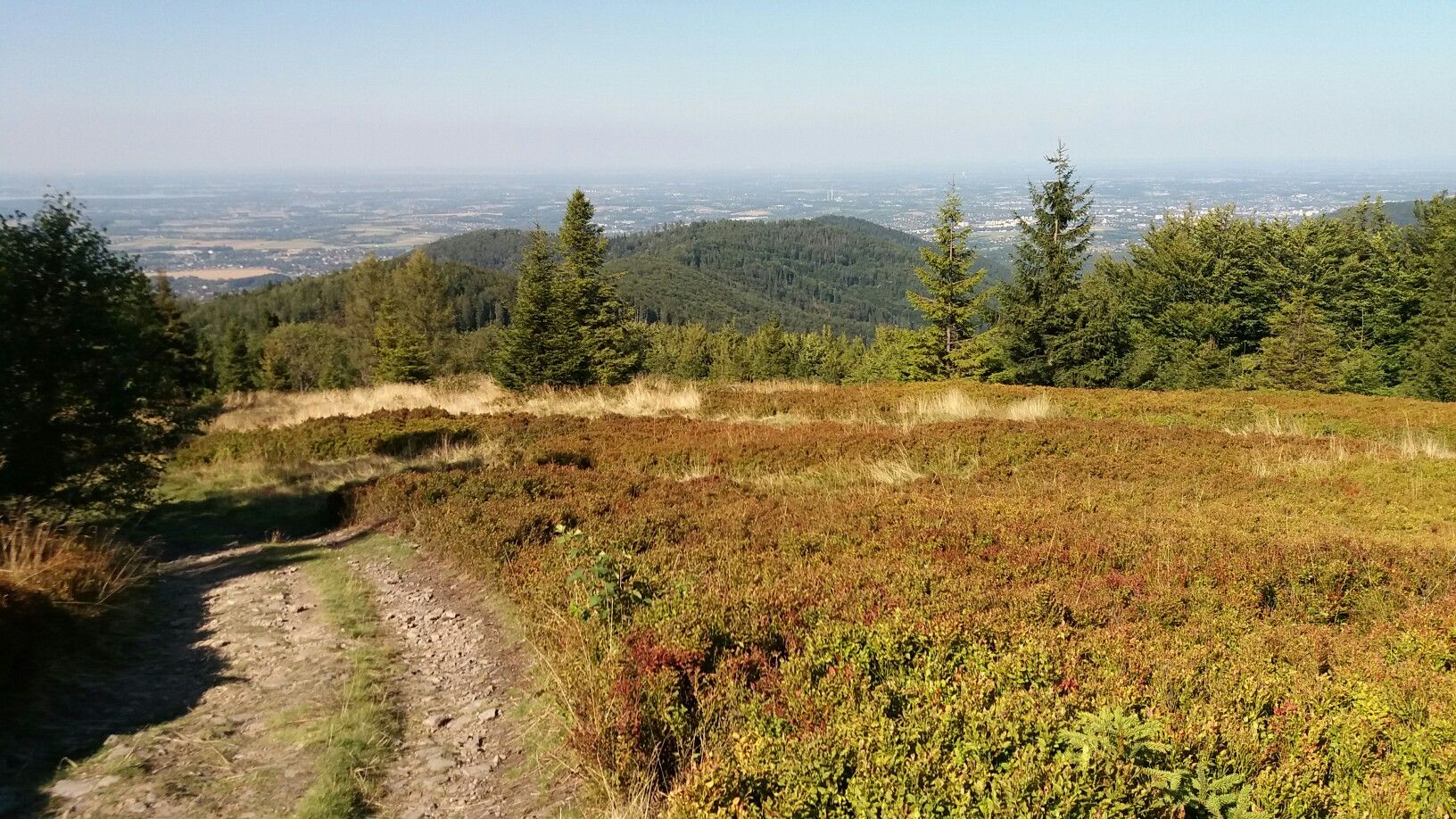der Weg