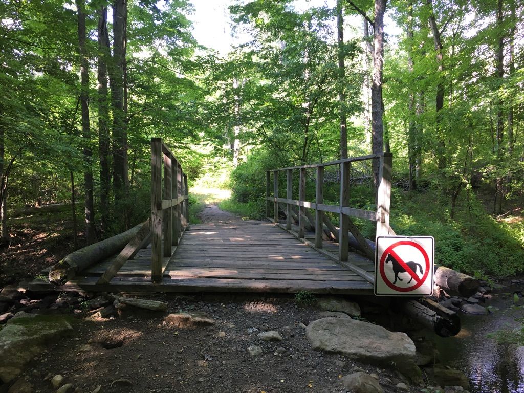 A wooden footbridge crosses a stream in a lush green forest, no horses allowed. - Deer Hollow, Cross River, and Fox Hill Trail Loop