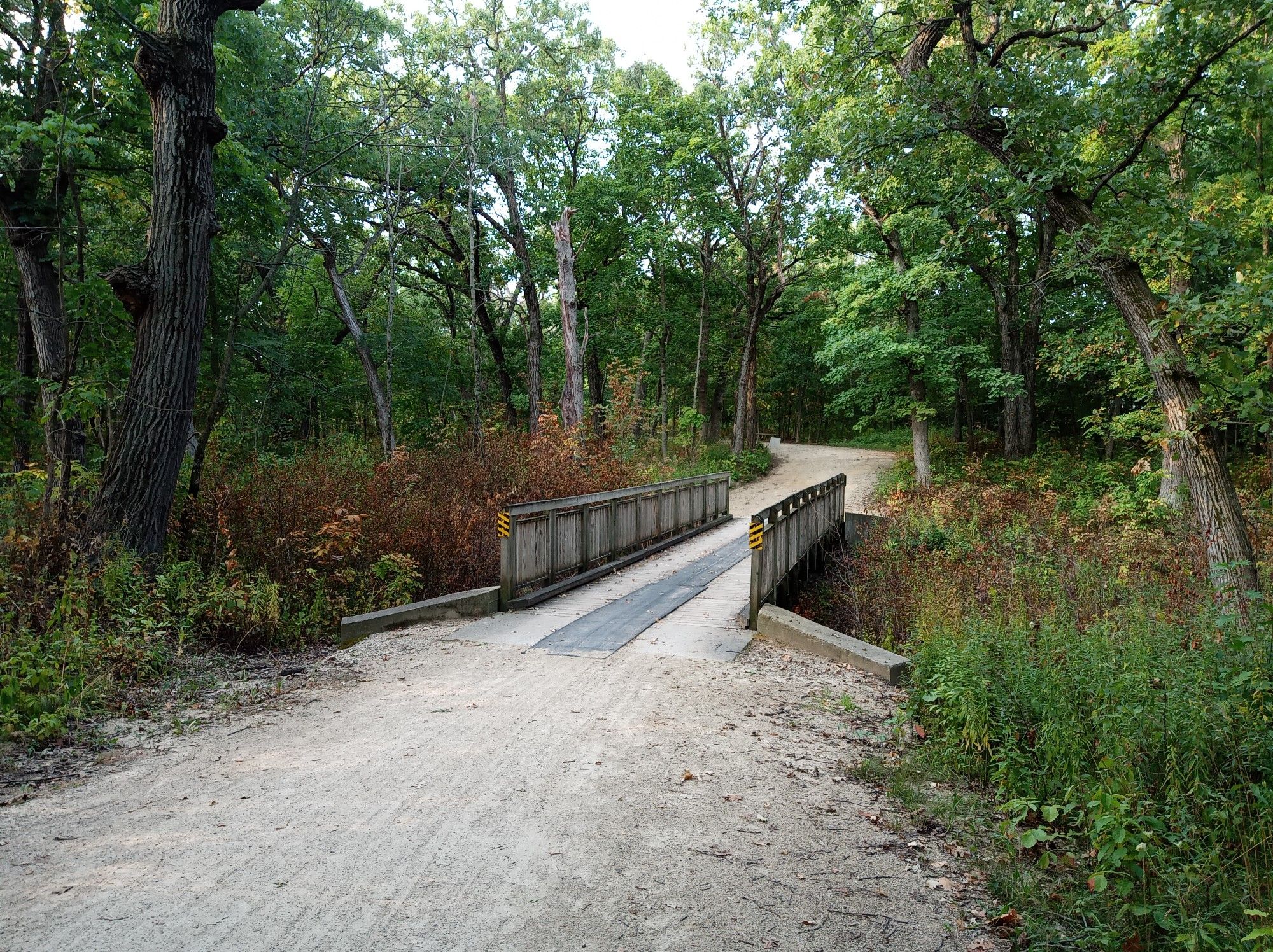 Dirt path leading to a wooden bridge through a dense, shaded forest. - Bike loop from Fox Lake Hills