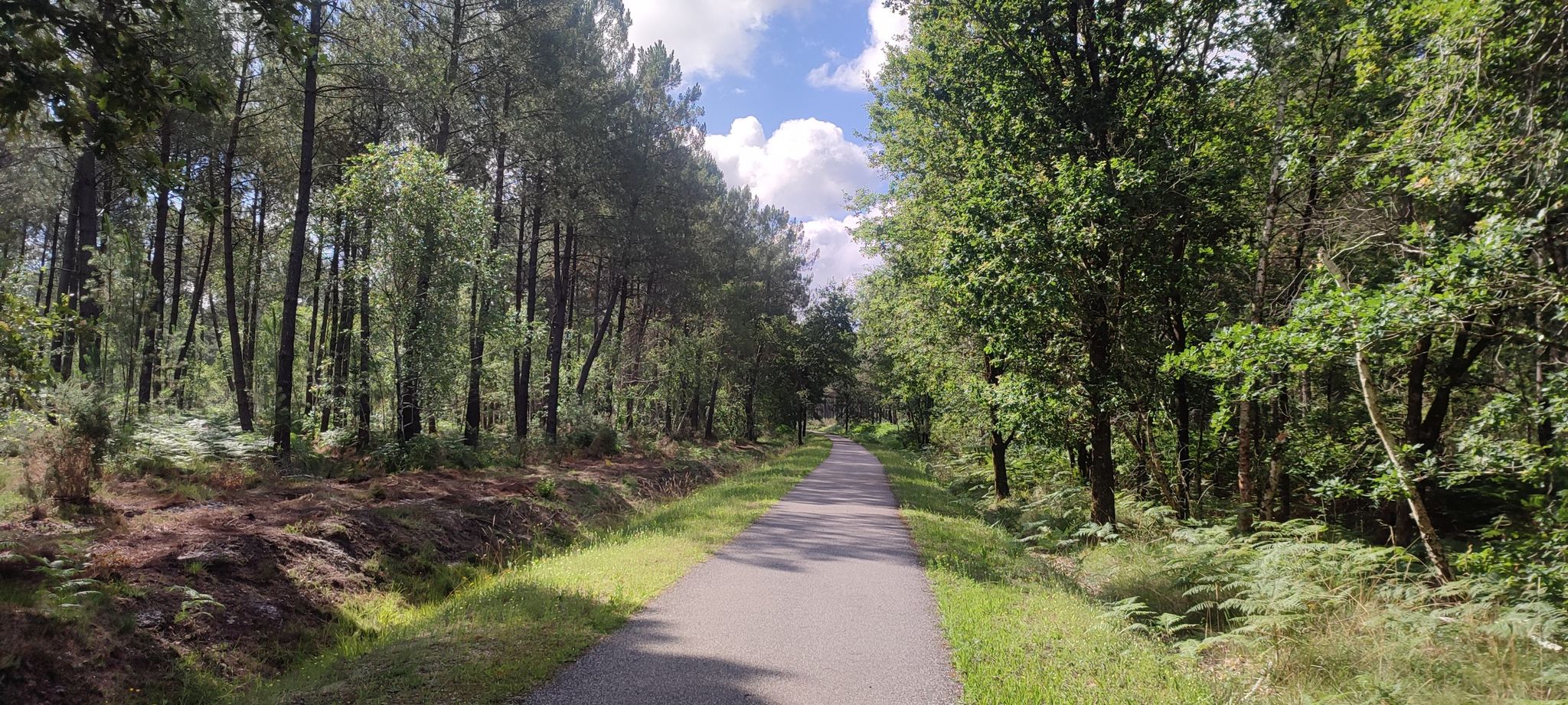 Bahntrassenradweg D809 nach Bazas