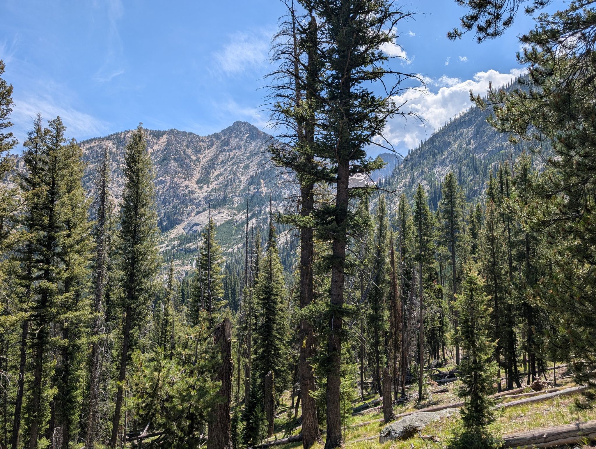 Tall pine trees frame a rugged mountain under a partly cloudy sky. - Iron Creek-Stanley Lake Trail