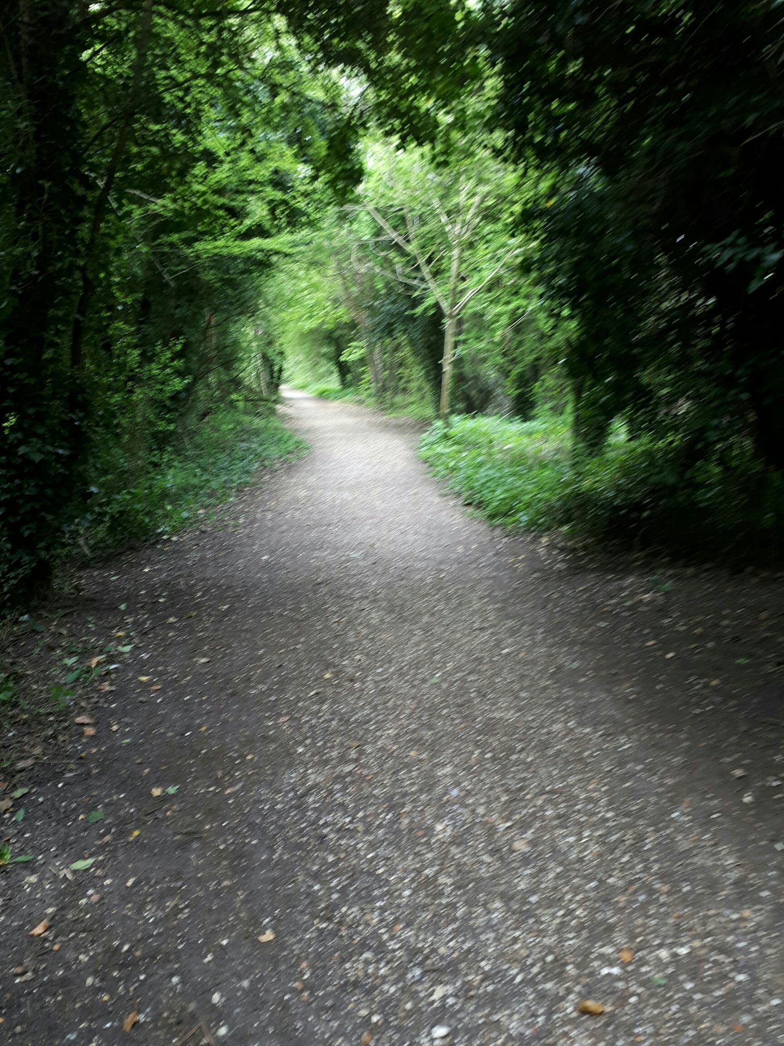 old railway line