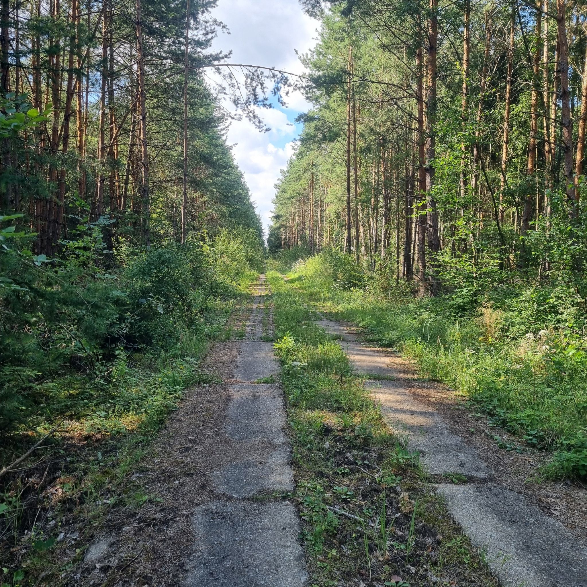 ganz schön "Wild" hier