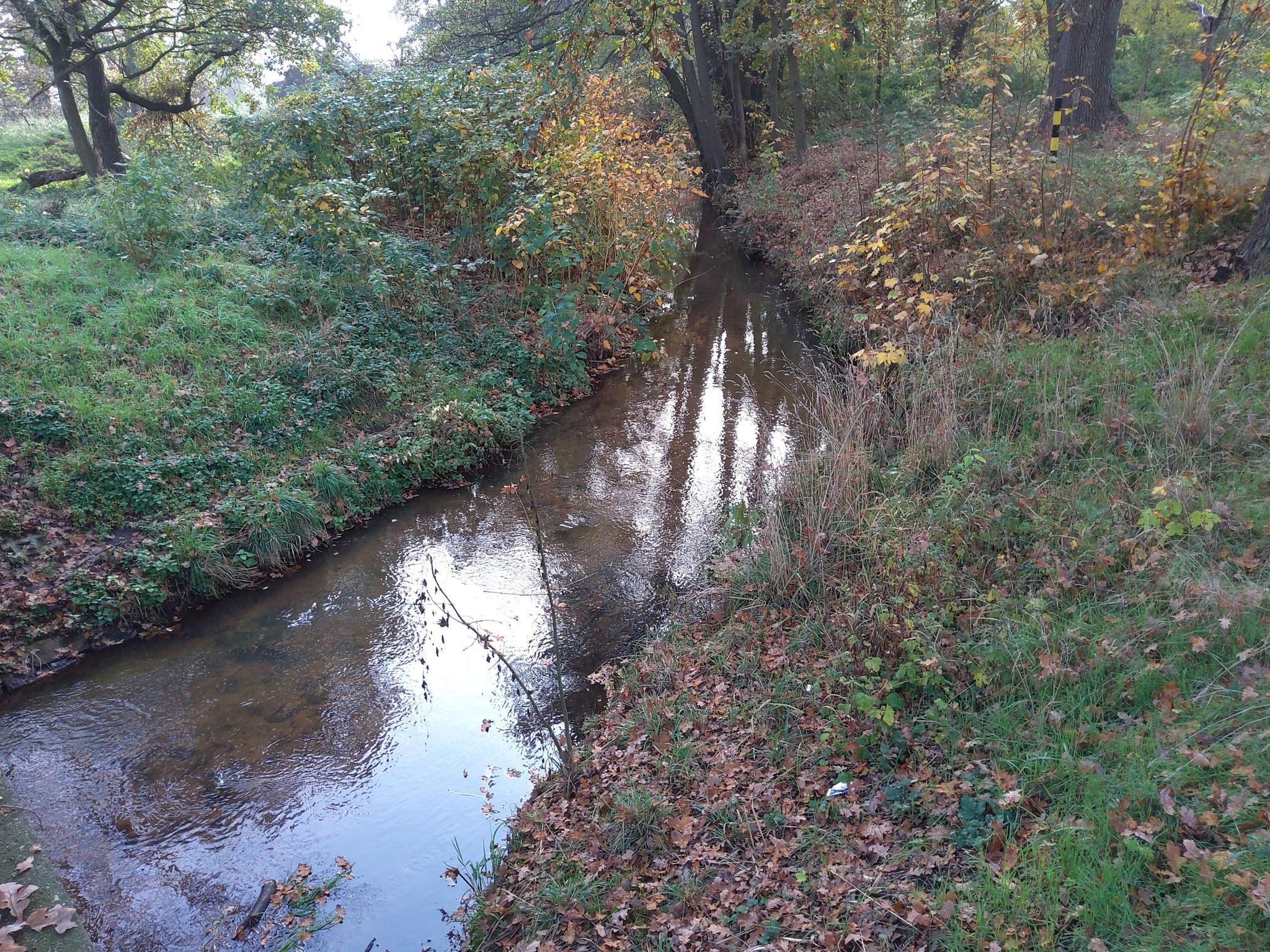 Piesteritzbach