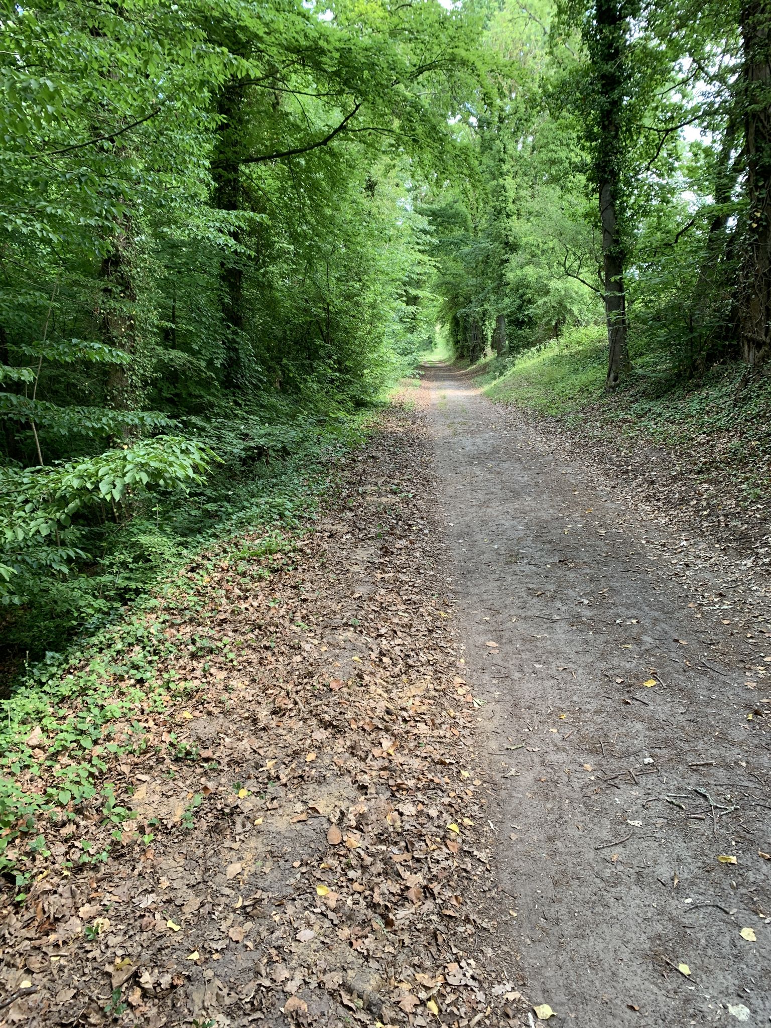 Vers Auvers St-Georges