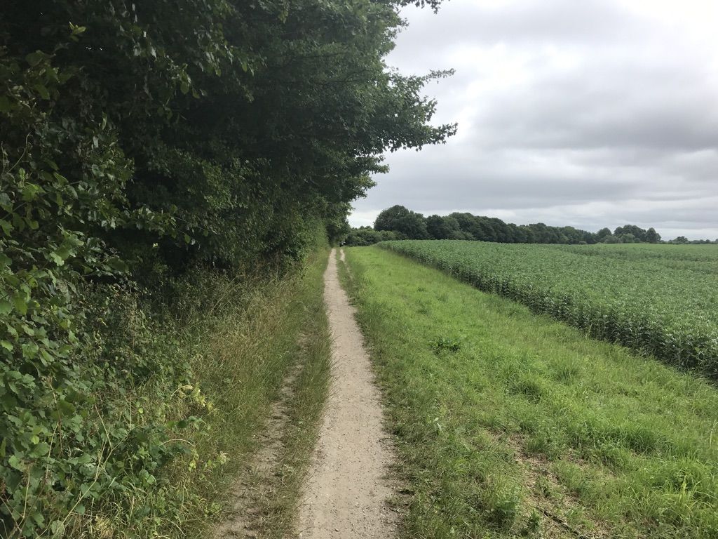 Wanderpfad am Waldrand