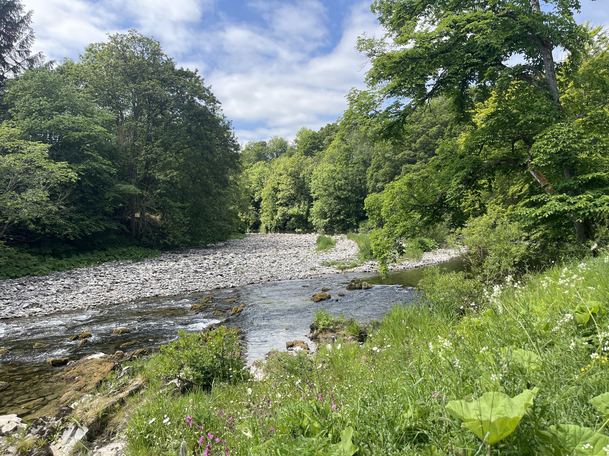 River Teviot