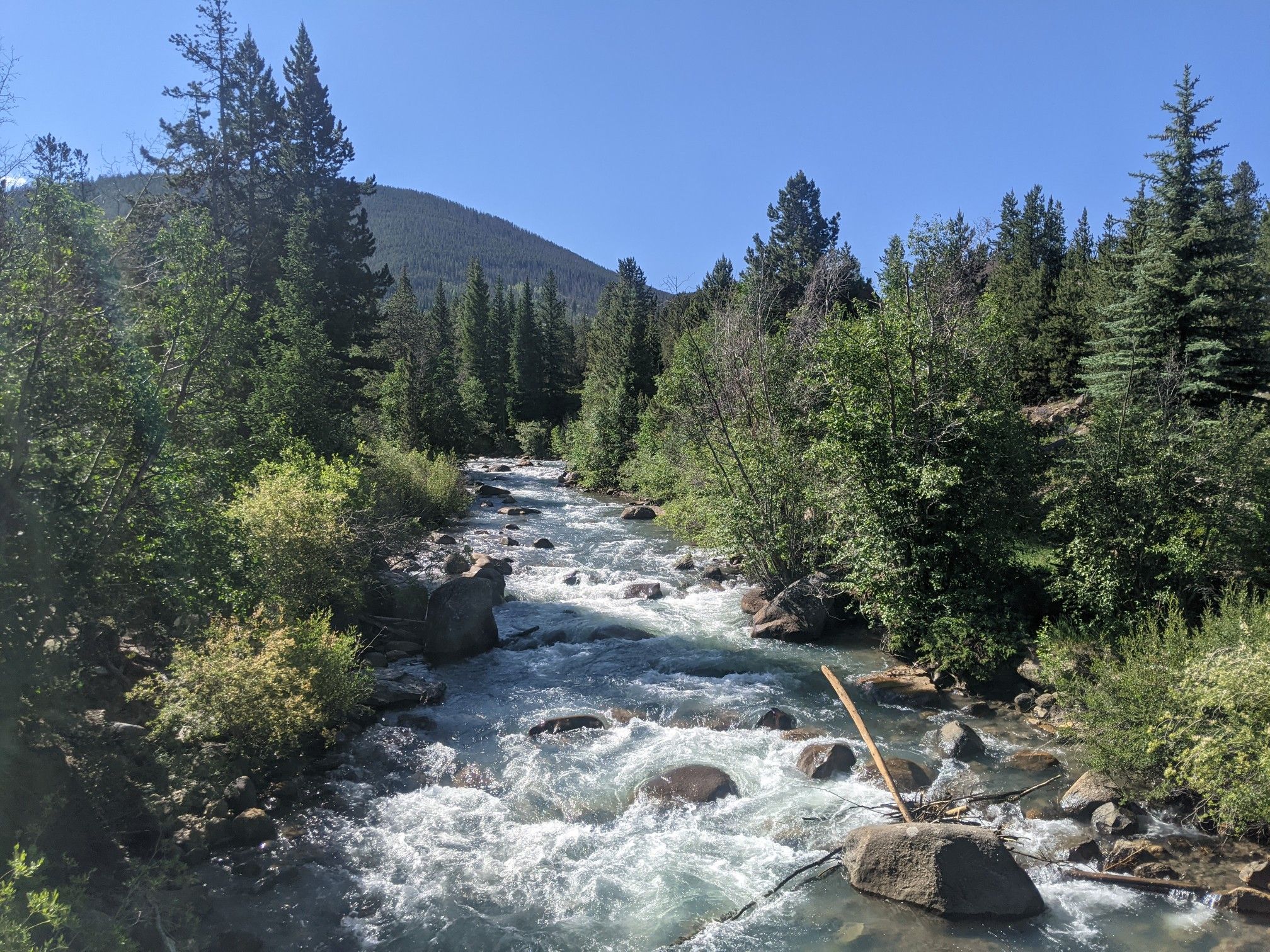 A clear, sunny day with a rushing river flowing through a dense pine forest. - Dillon Nature Preserve – Snake River Trail loop from Dillon-Keystone Trail