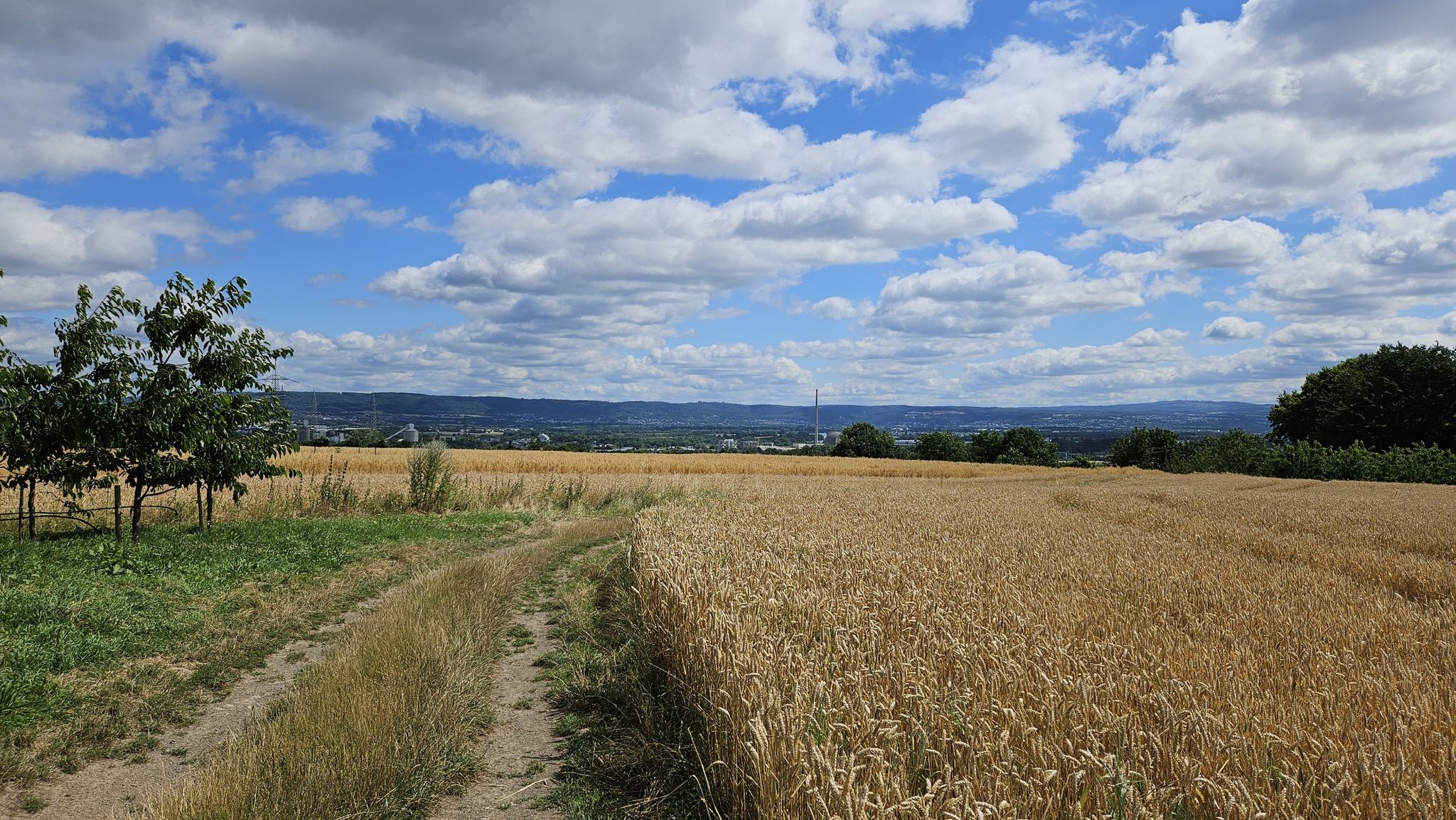 Blick Richtung AKW a.D. ;)