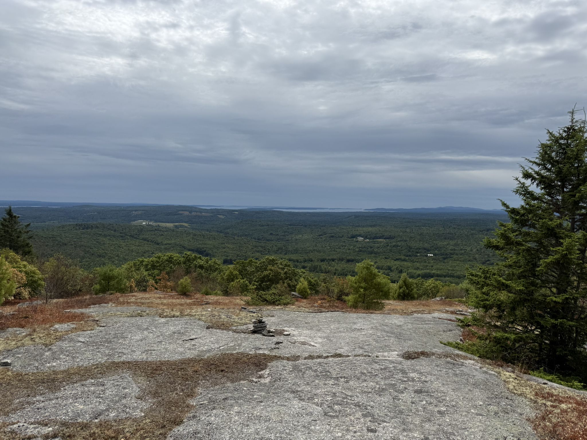 Overcast sky above a vast forest and distant water from a rocky summit. - Mt. Waldo South Trail