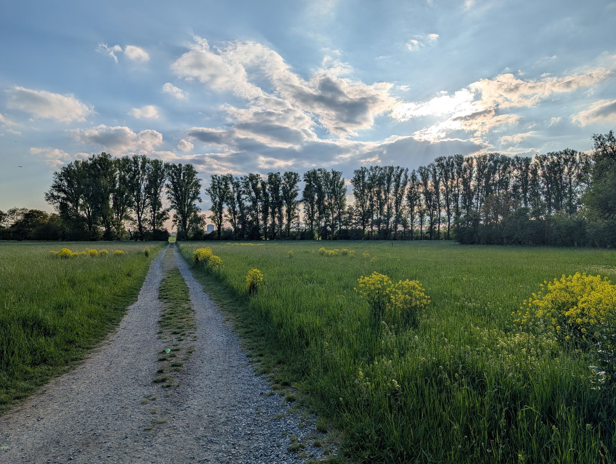 Schotterwege sind nichts für "Komfortradler", gut so ;-)