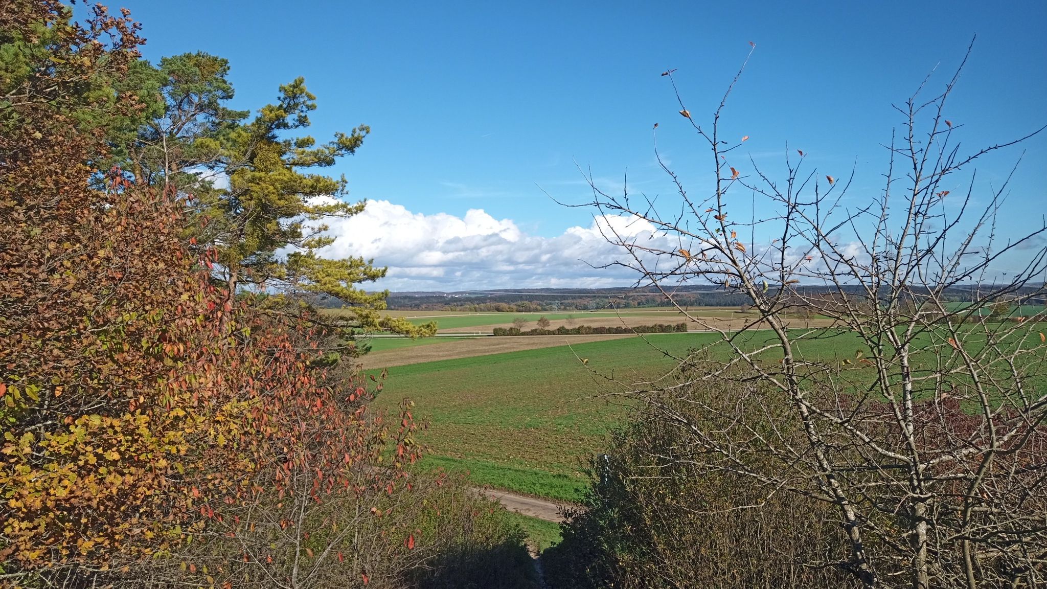 Aussicht vom Gipfel des Reisbergs