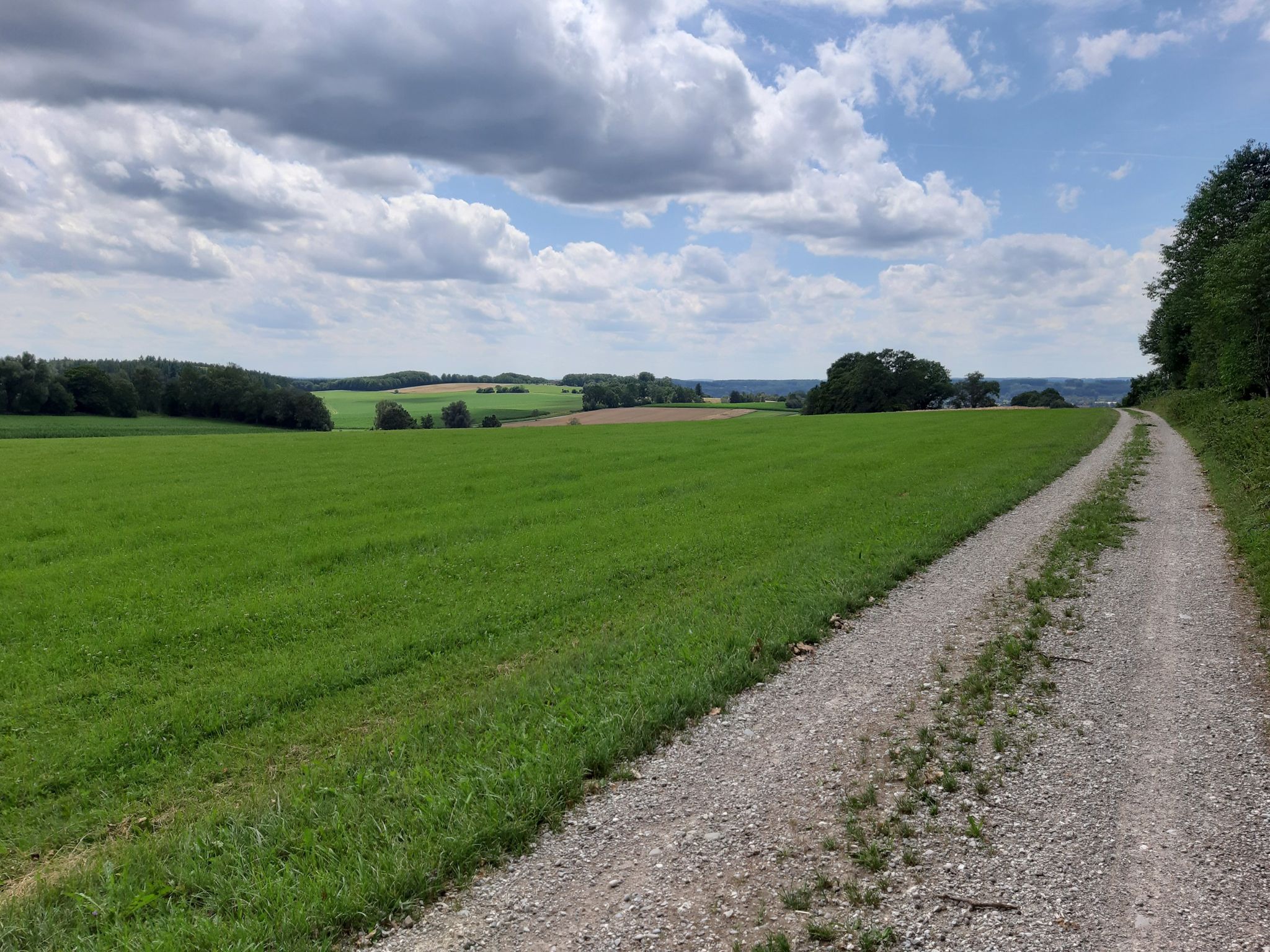 Nun gehts noch Zaisertshofen