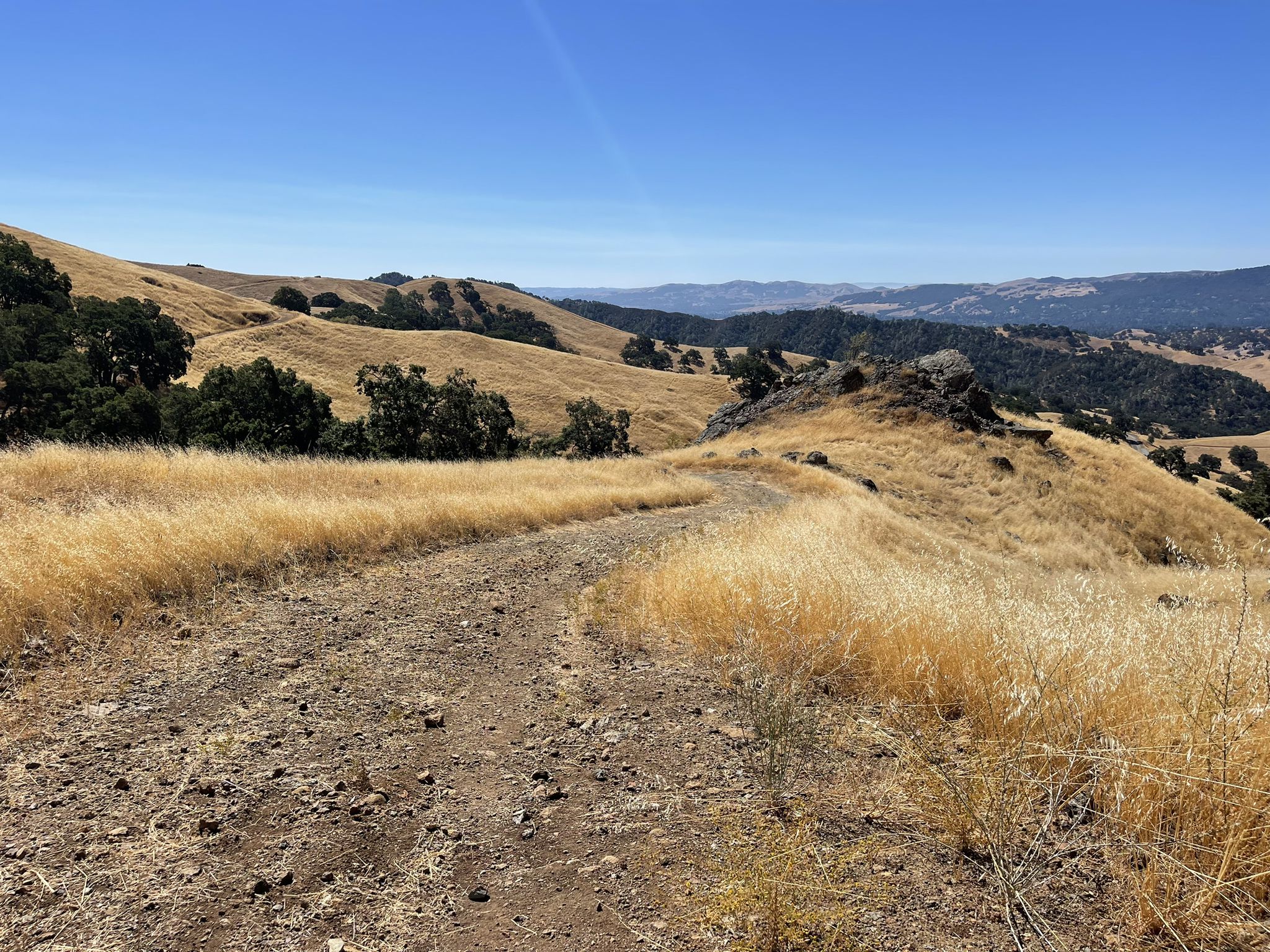 A dirt path winds through sunlit golden hills with scattered trees. - Burma Road and Buckeye Trail Loop