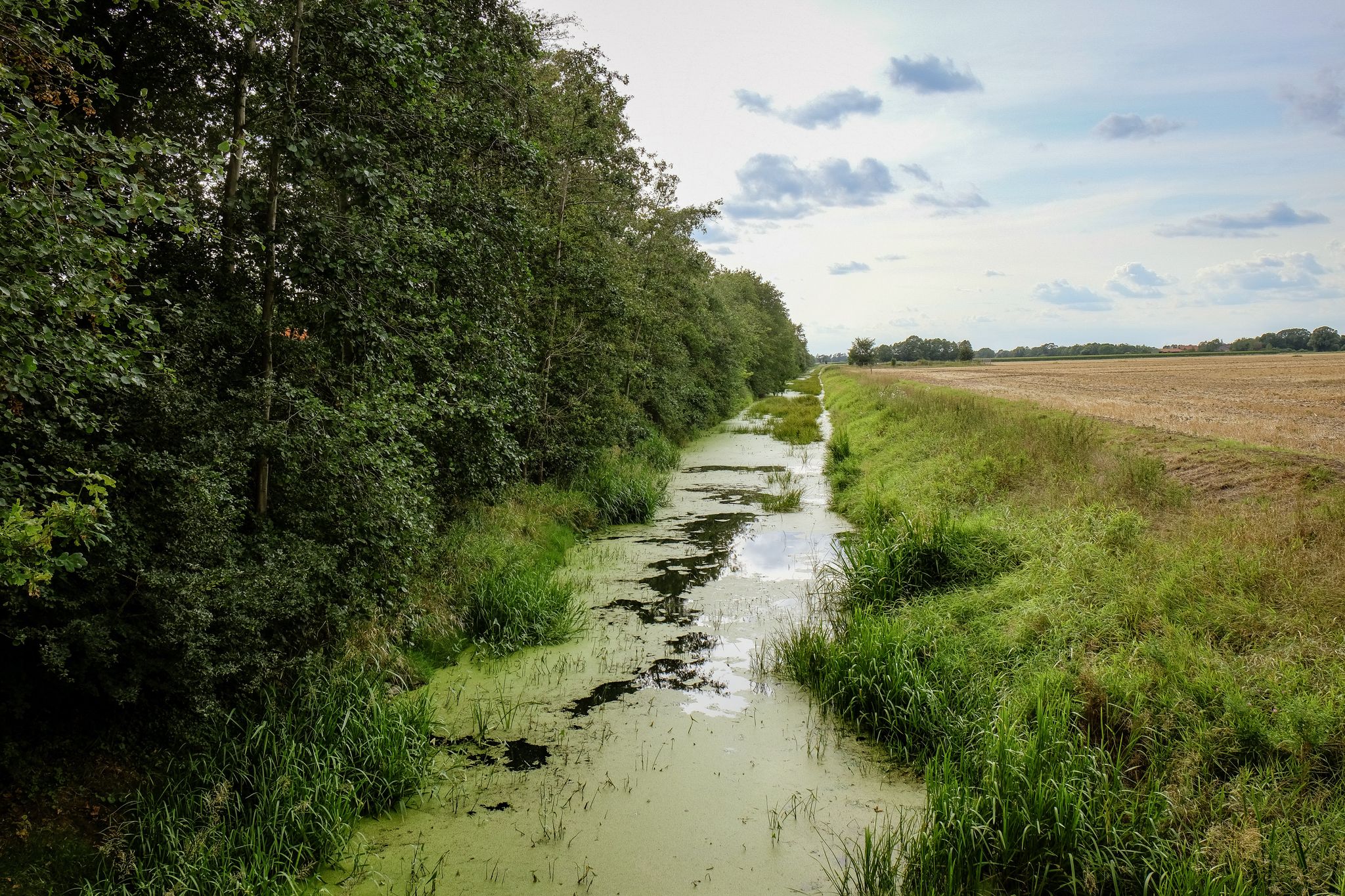 Lüchower Landgraben