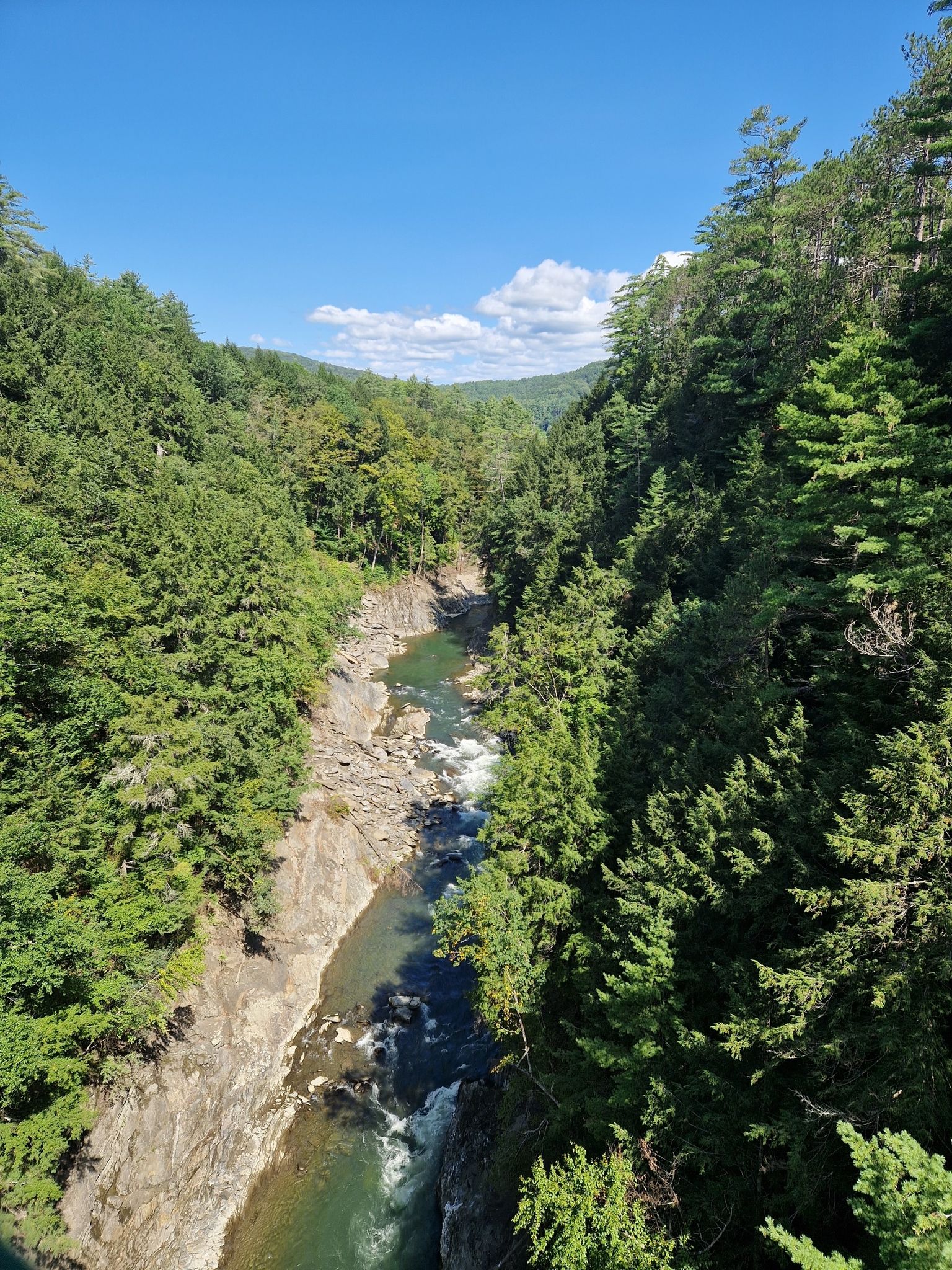 Sunny view of a river winding through a deep, green, forested gorge. - Quechee Gorge Trail