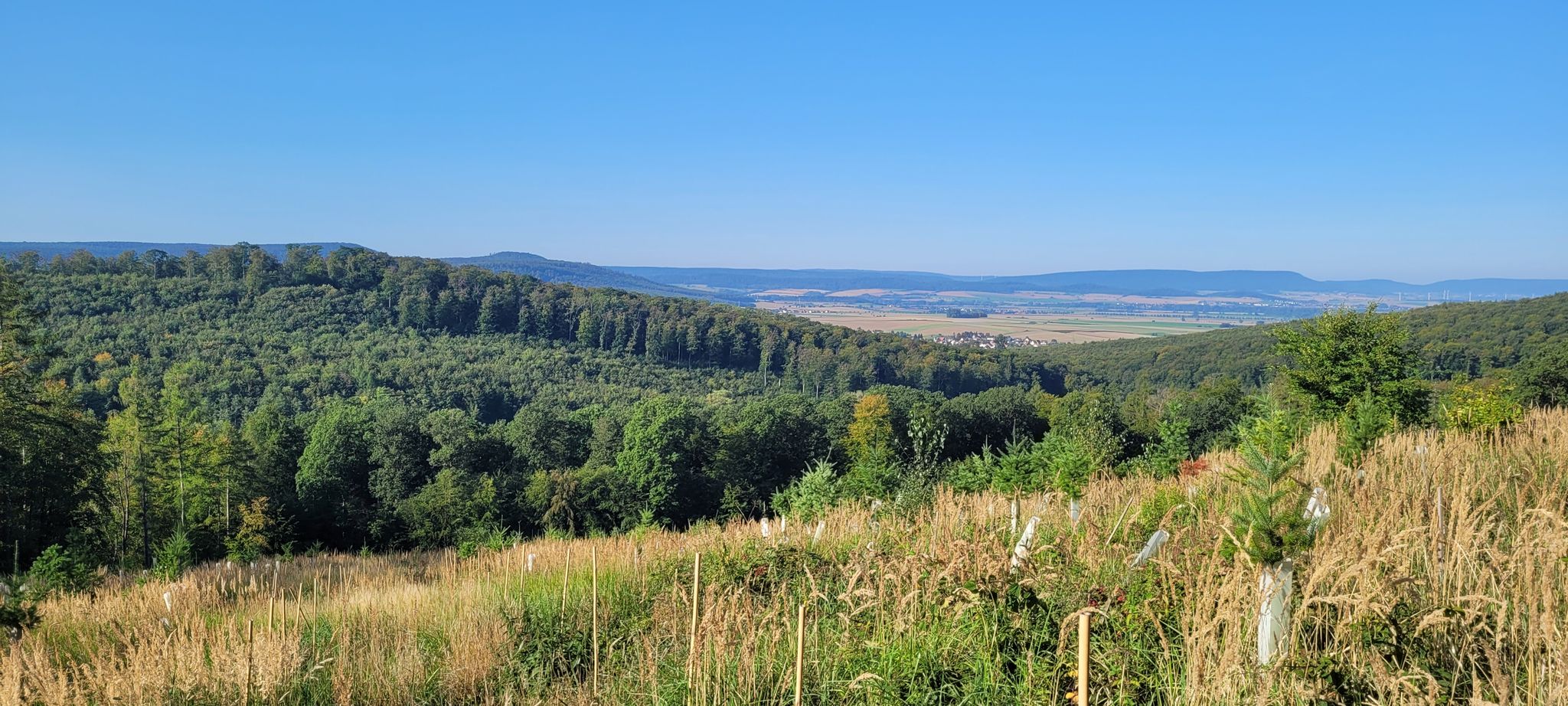 Vorberge/7 Siebenberge, Duinger/Thüster Berg/Külf, Ith/Osterwald