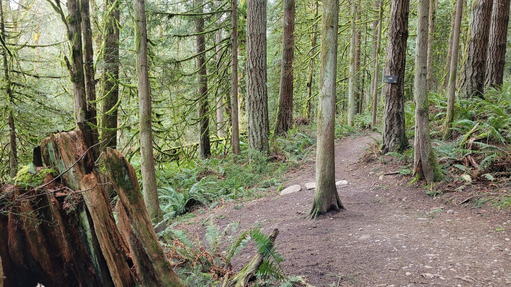 the old car Trail and I used to hike now we're going to take a hard left and walk away out of here