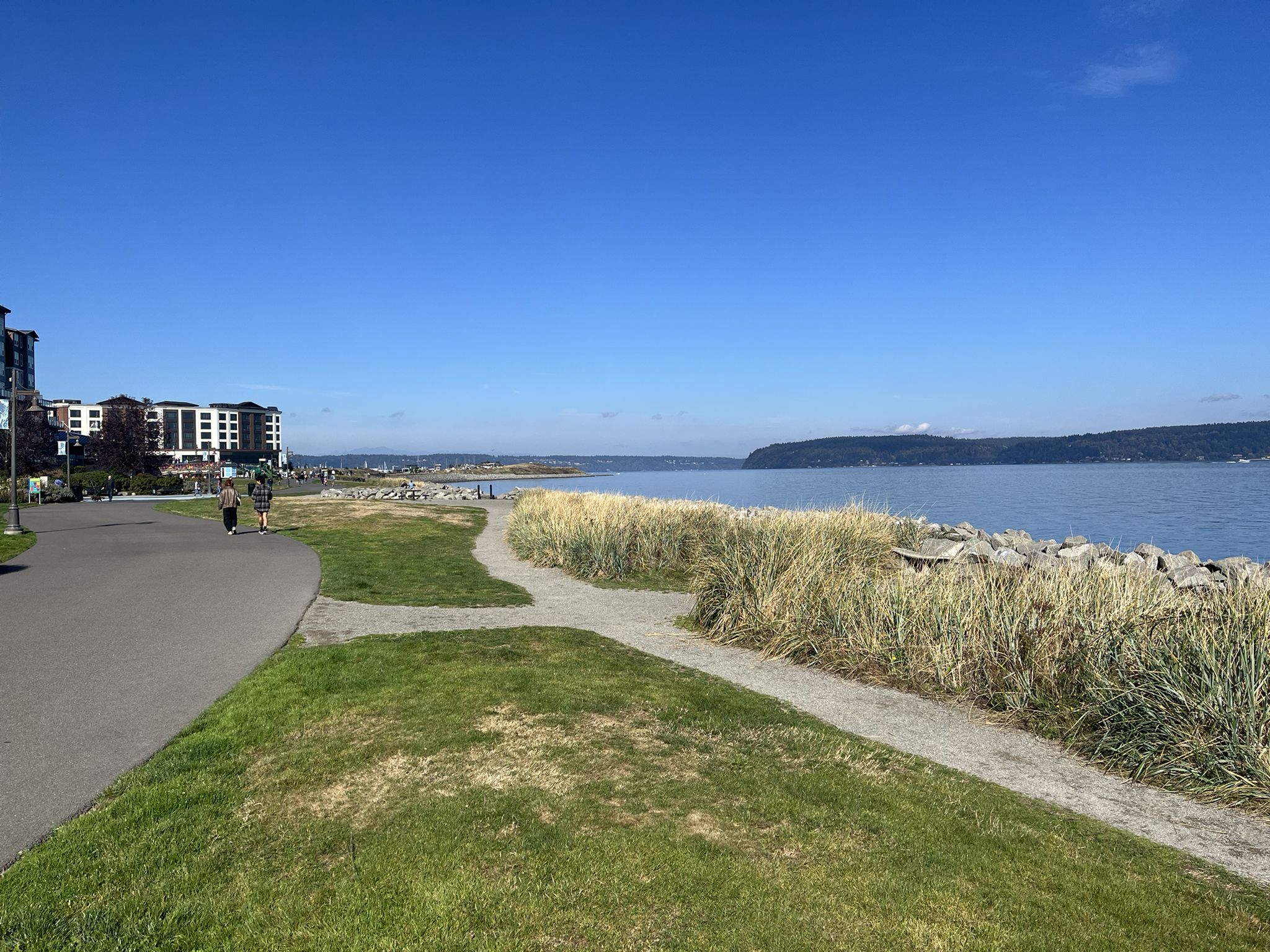 Paved path and grassy area beside water with distant buildings and people. - Vashon Ride loop
