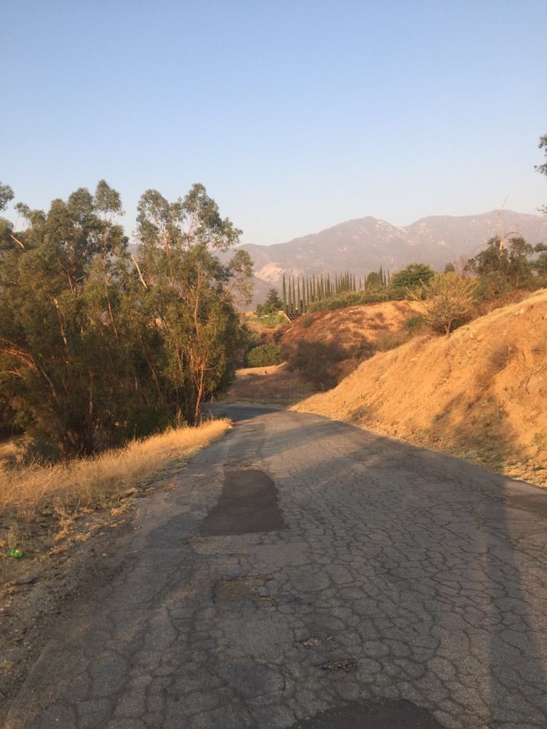Cracked paved road winding through dry hills towards distant mountains at sunset. - Duck Pond loop from Cherry Valley Peak