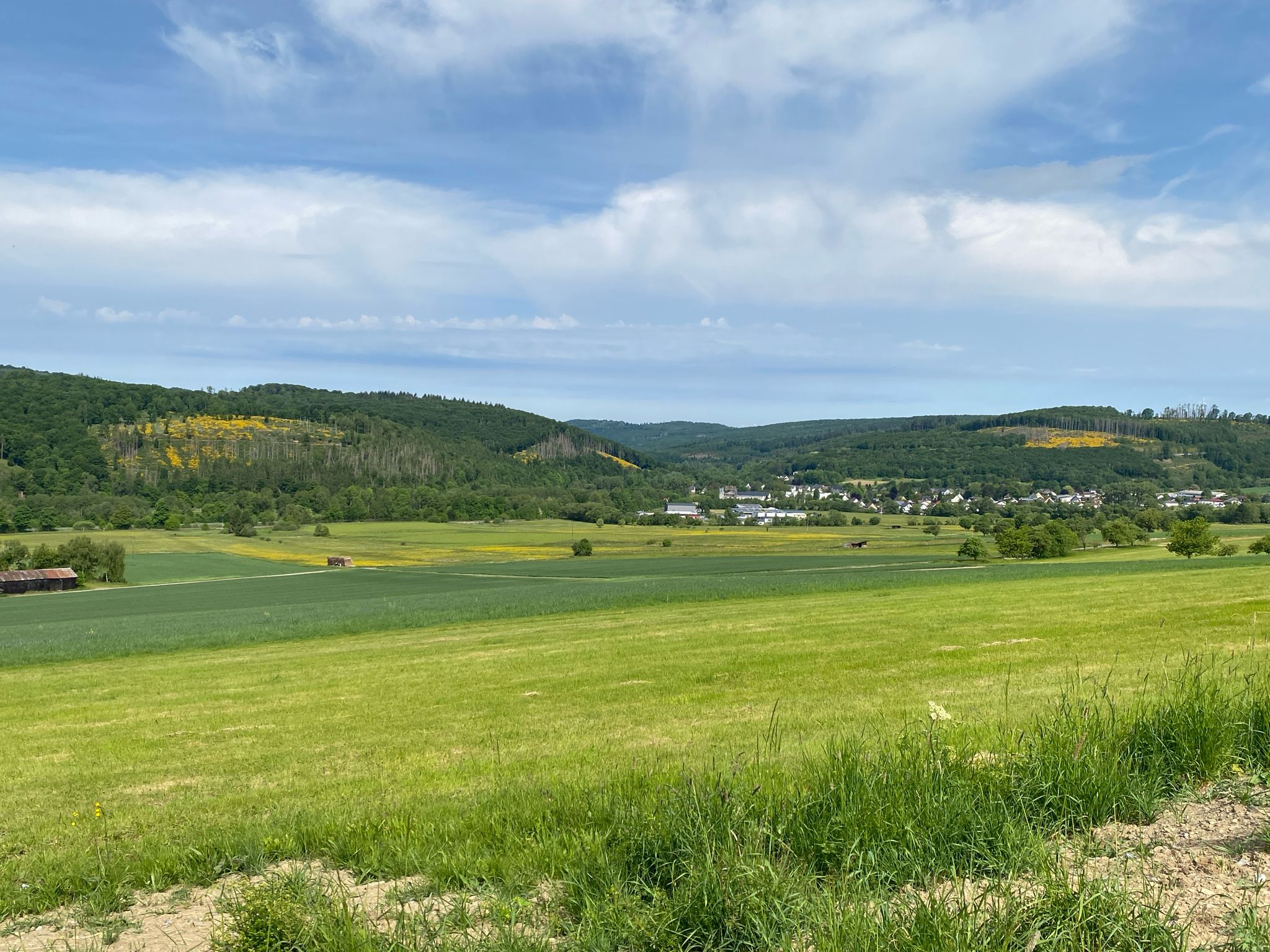 dahinten gegenüber geht´s hoch nach Alpenrod: zu Fuß "K" und Rad