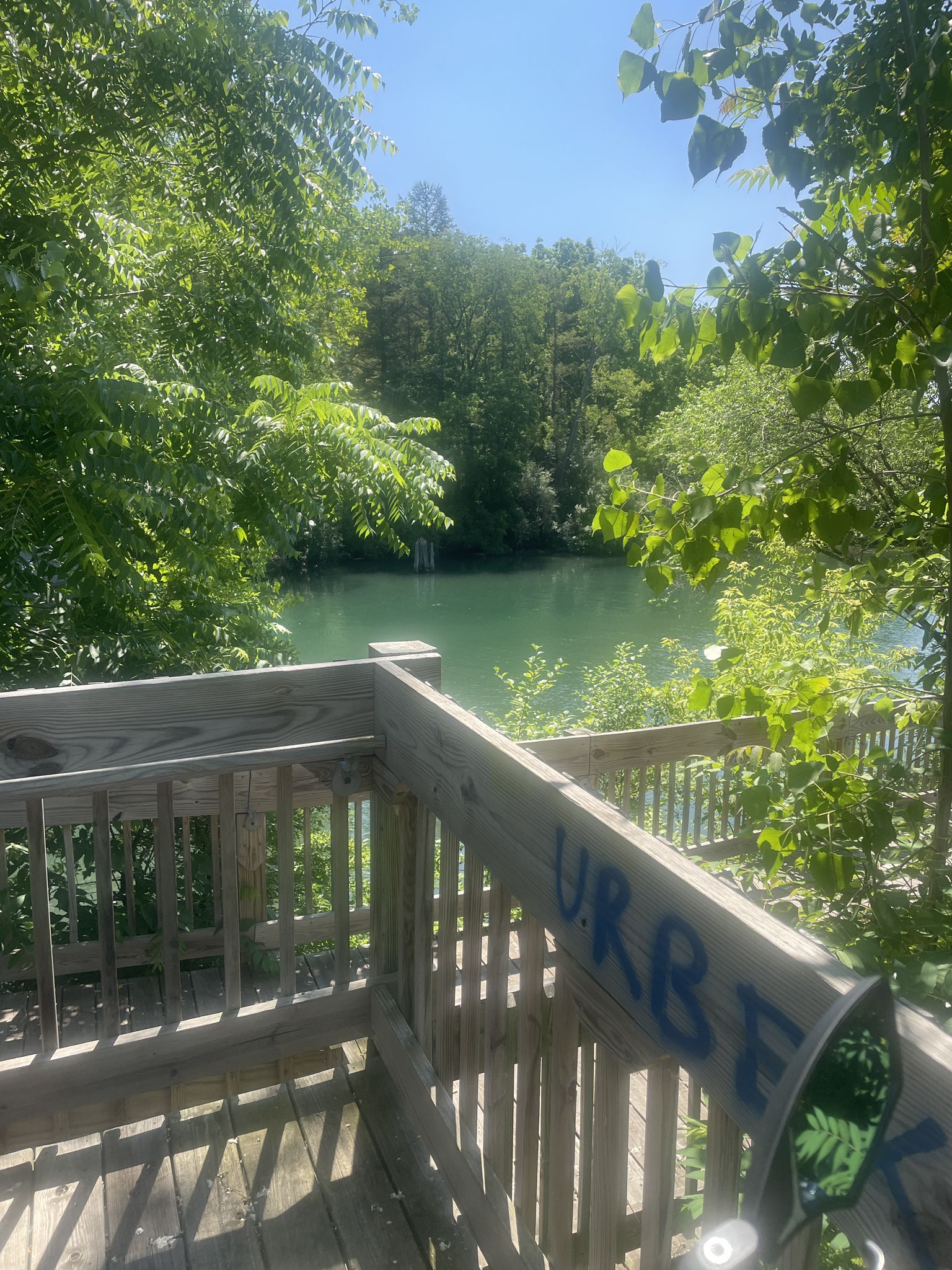 A wooden deck with graffiti overlooks a serene green lake and dense forest. - Seneca Lake View – Seneca Lake loop from City of Geneva