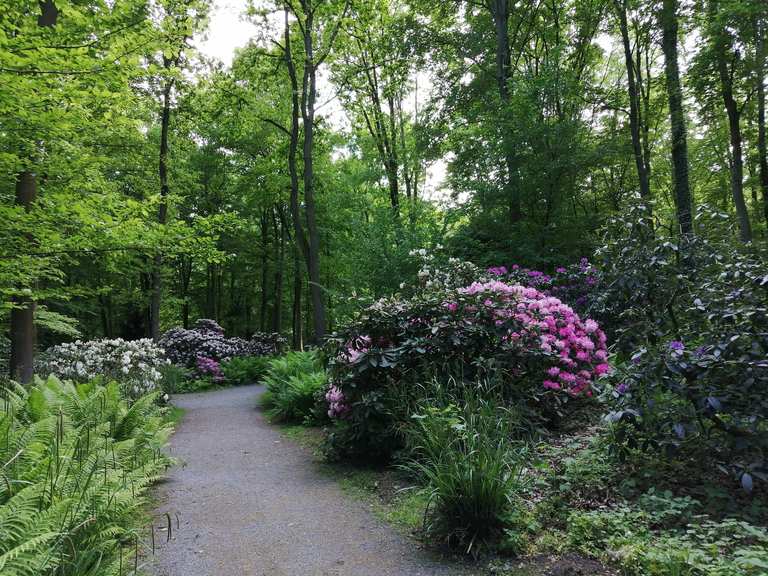 Bad Sassendorf, Kurpark, Rosenau Bach | Fahrradtour | Komoot