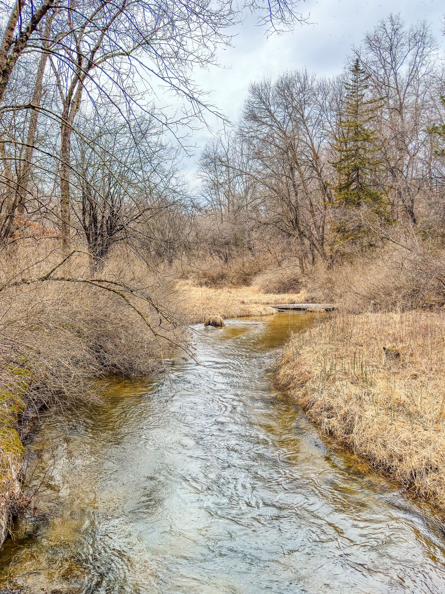 A winding stream flows through a landscape of bare trees and dry grass. - Lower Purgatory Creek Hiking Trail