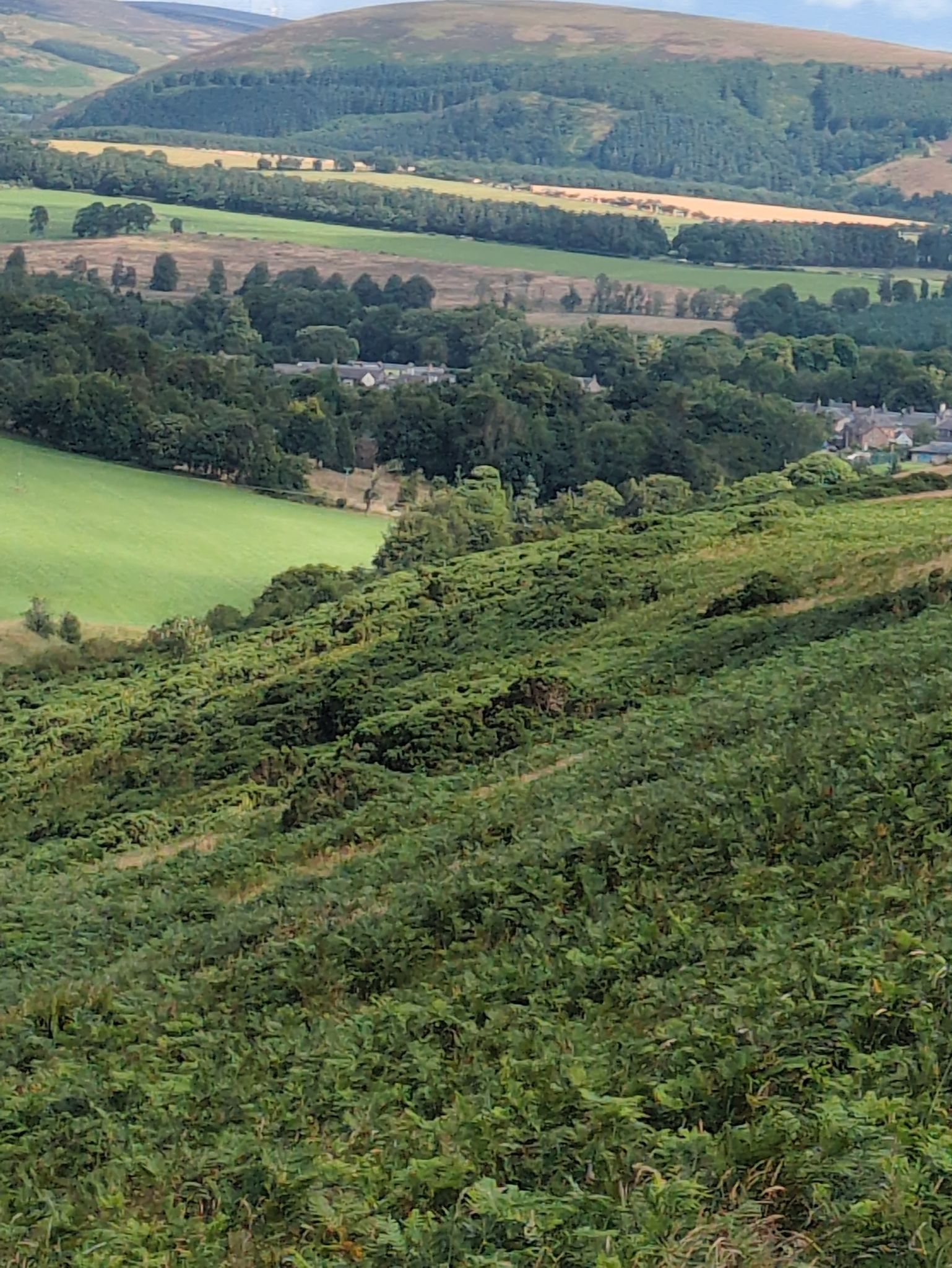 Approaching Lauder.