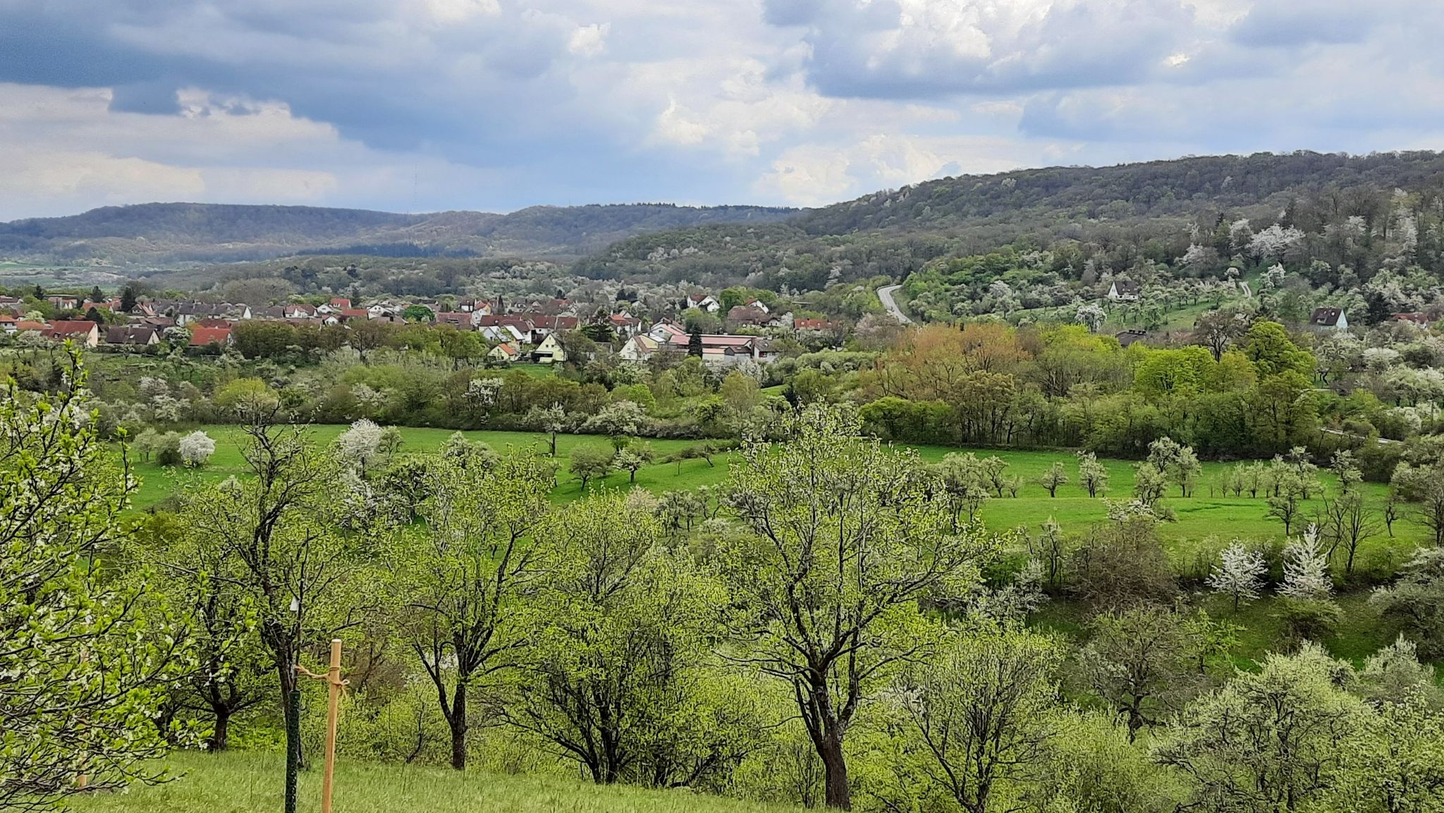 Blick vom Schauberg ins Gründlein