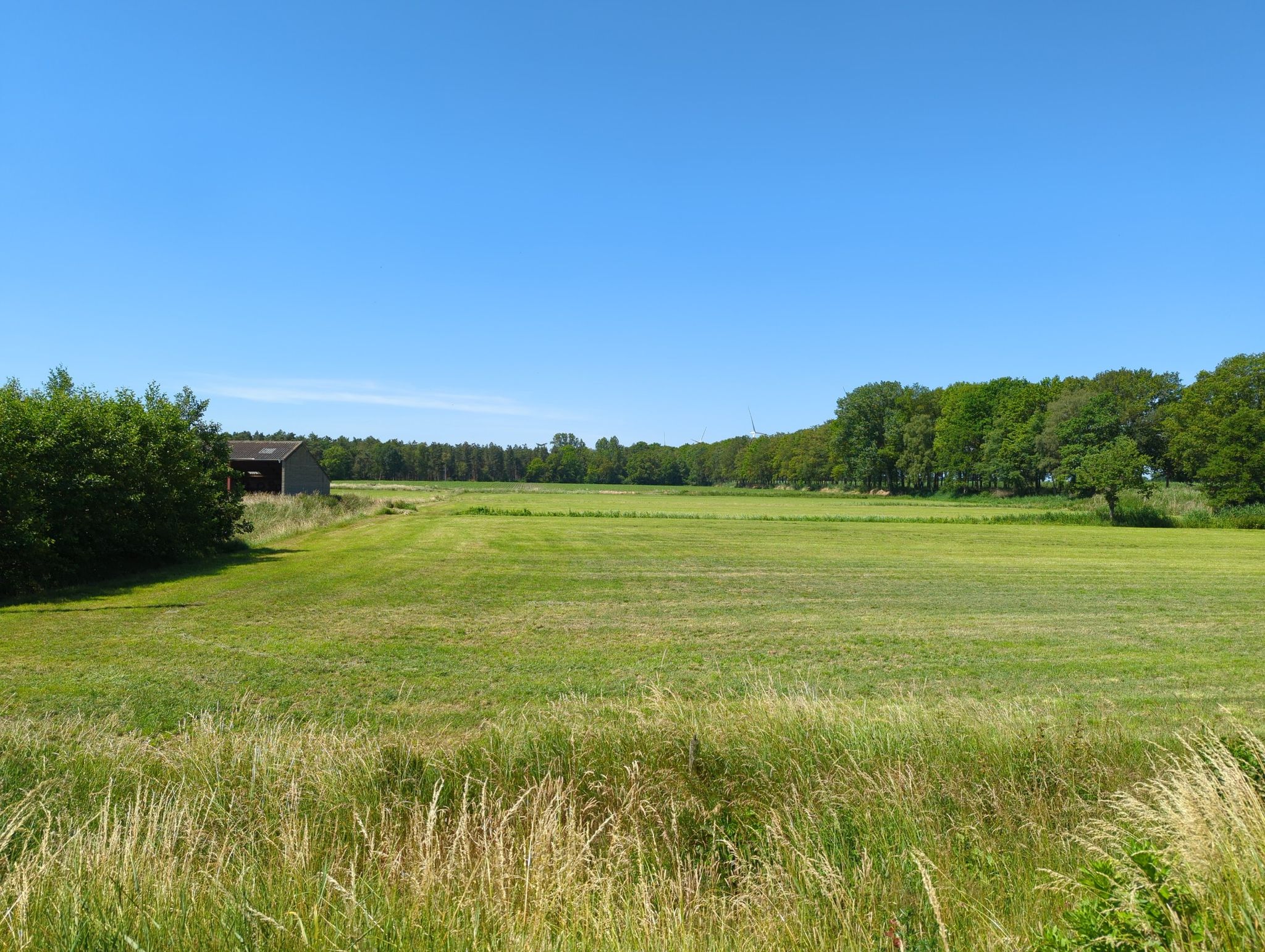 Feld