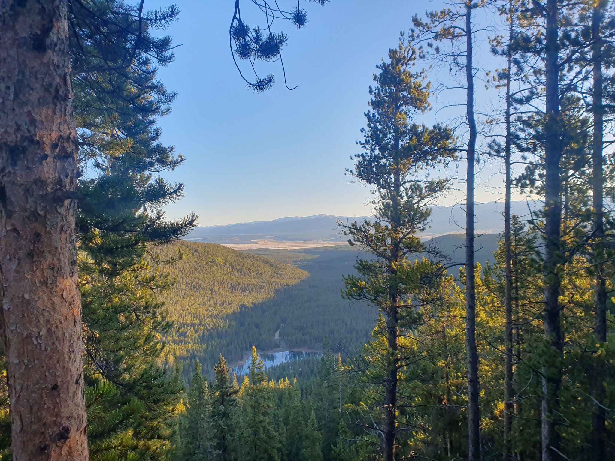 View through pine trees of a forested valley with a small lake. - North Mount Elbert Trail
