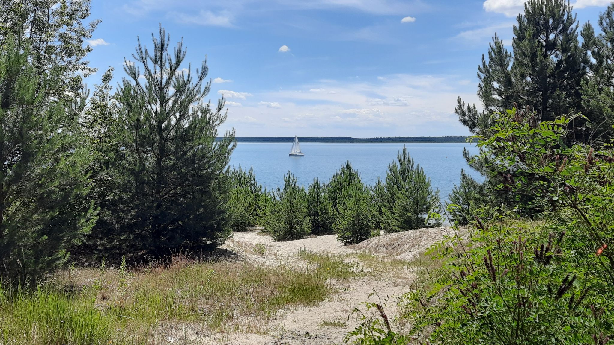 Partwitzer See