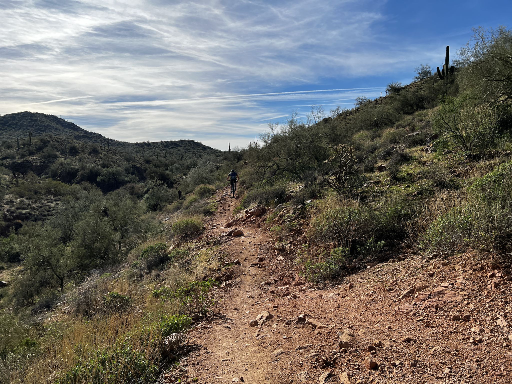 Person on a dirt trail winding through rocky desert hills under a blue sky. - Salt River Picnic Area – Maricopa Trail in Tonto National Forest loop from Mountain View High School