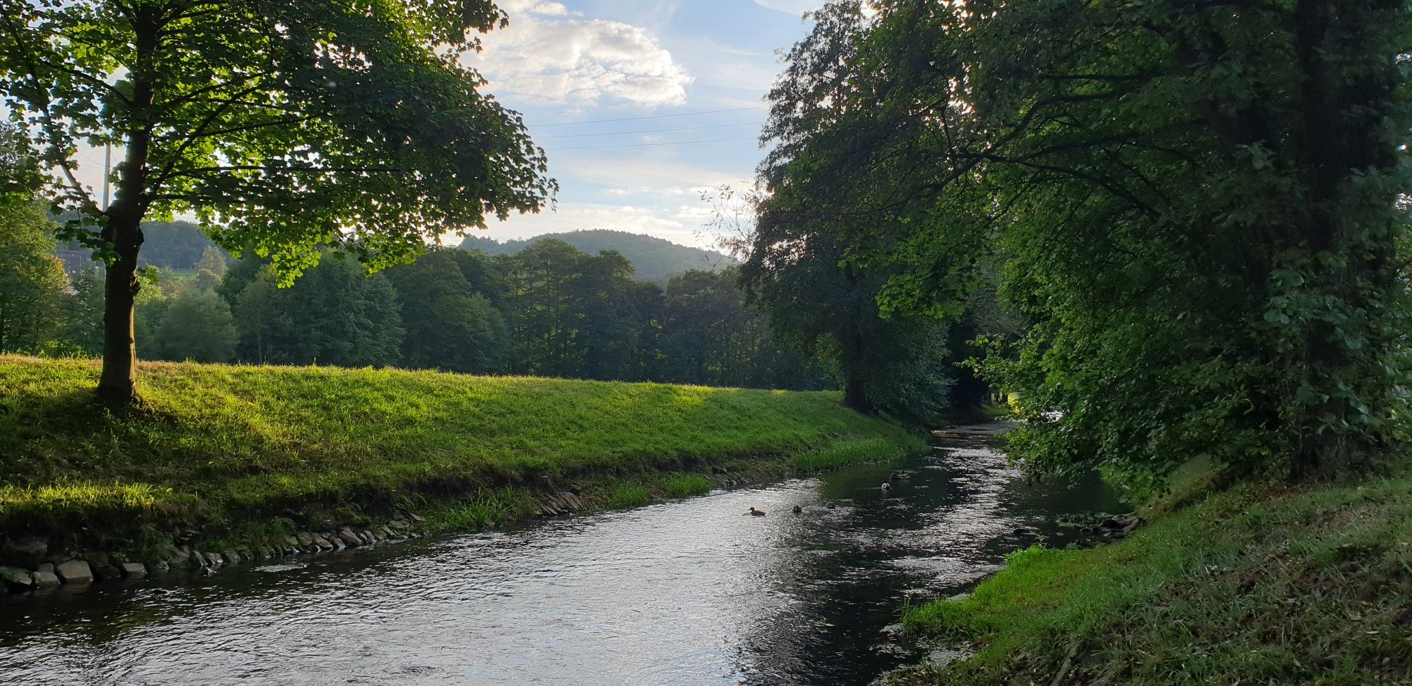 An der Lohr