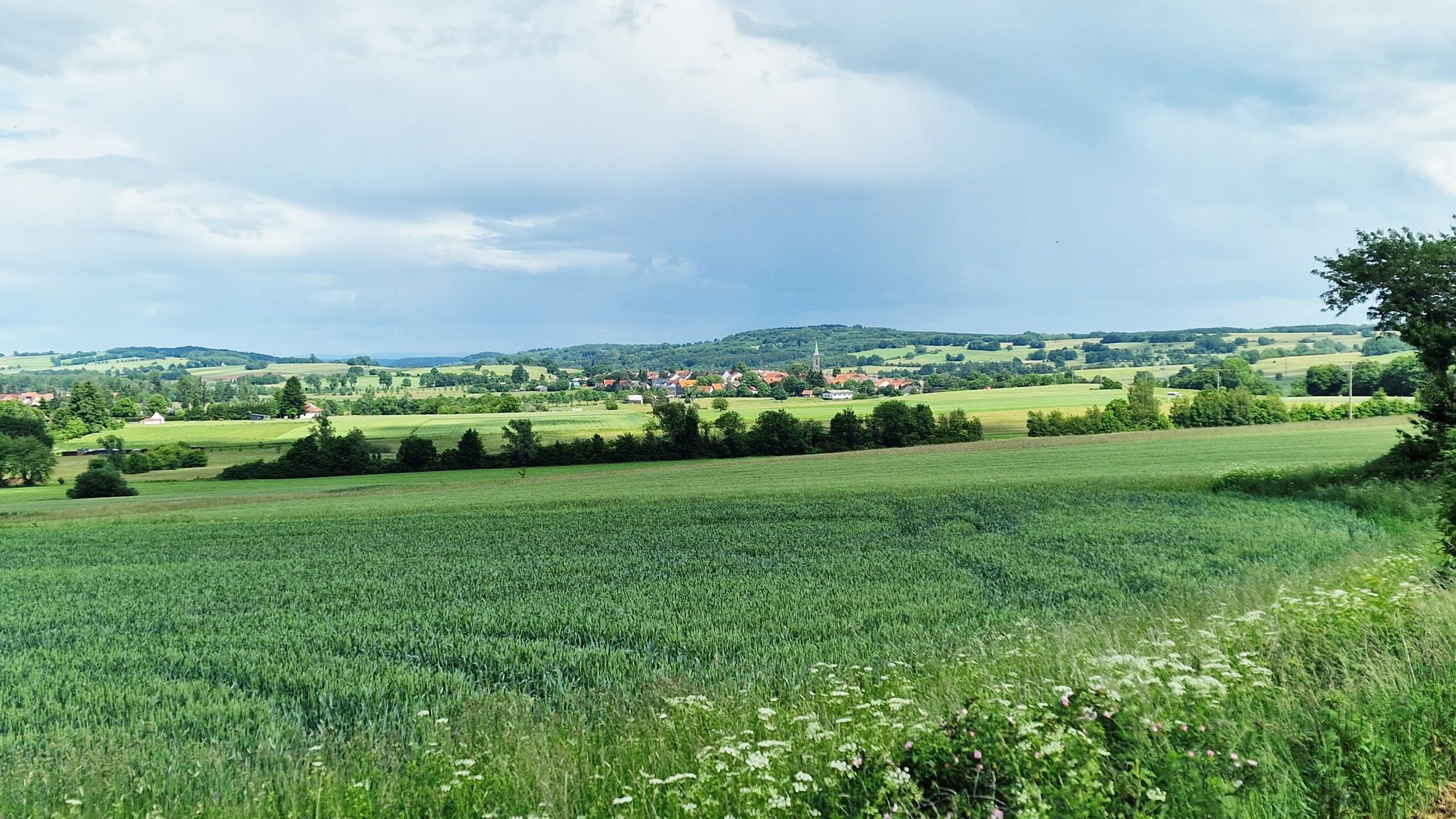 Blick auf Grebenhain