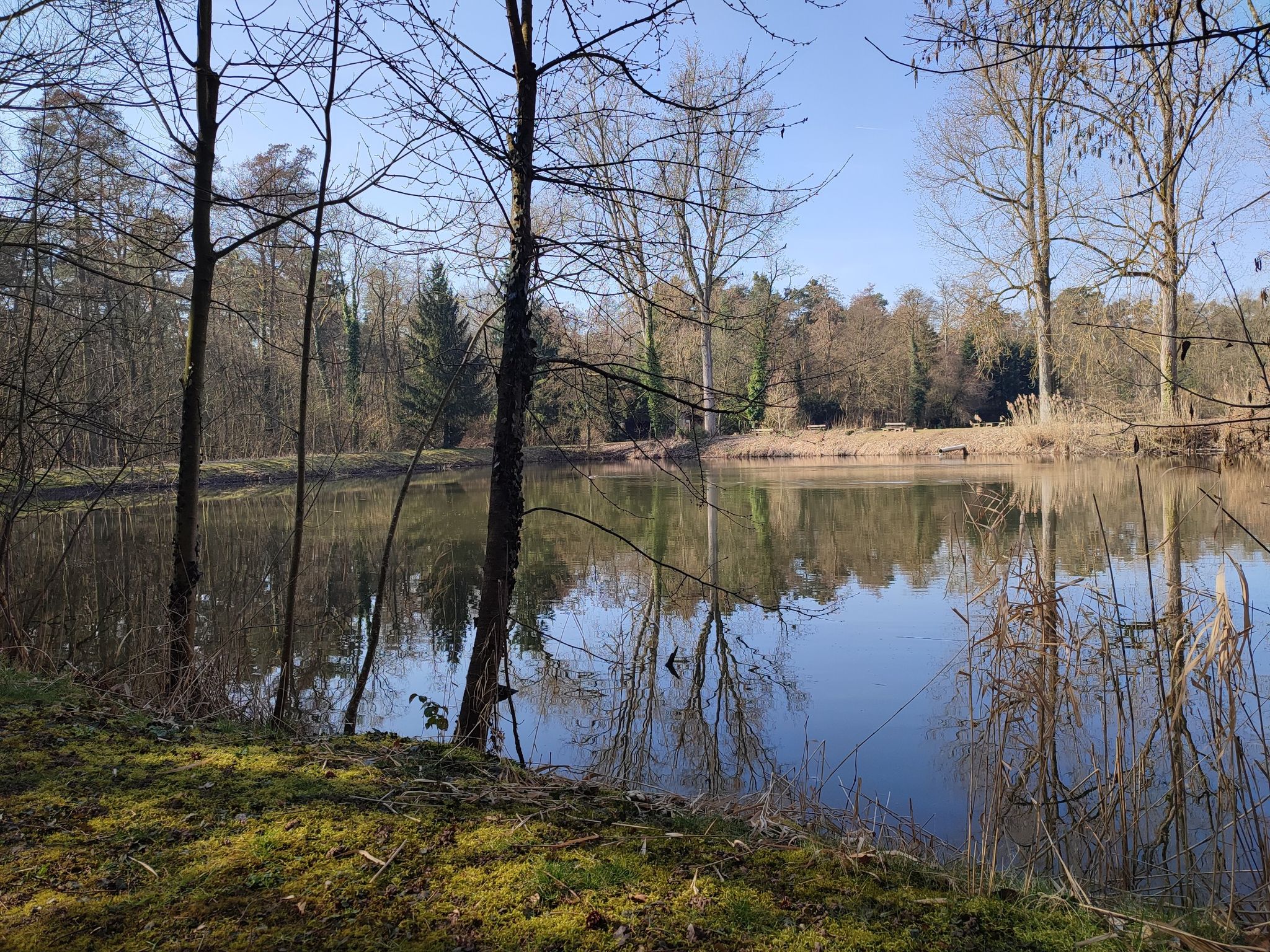 Anglerseen