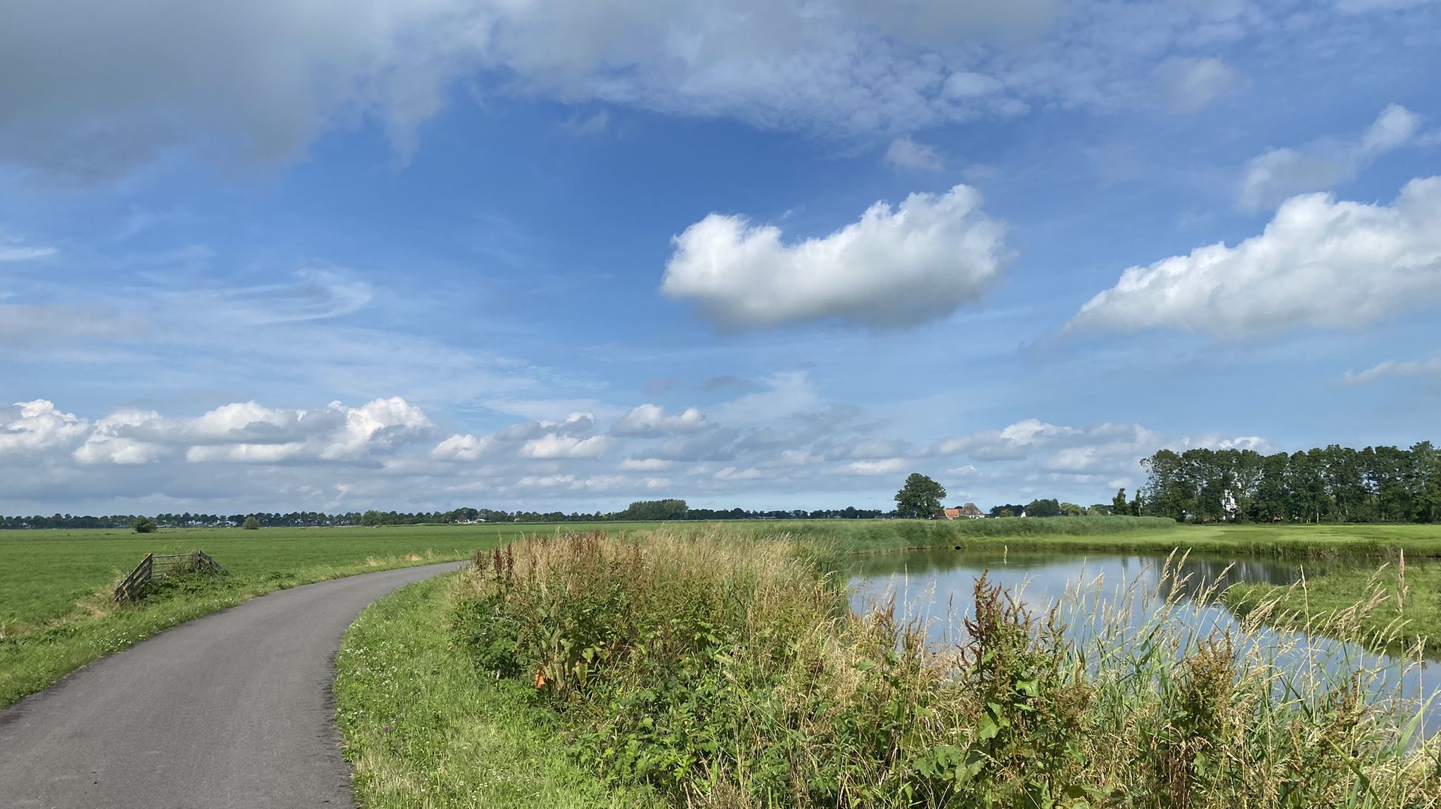 Zuidermolendijkweg