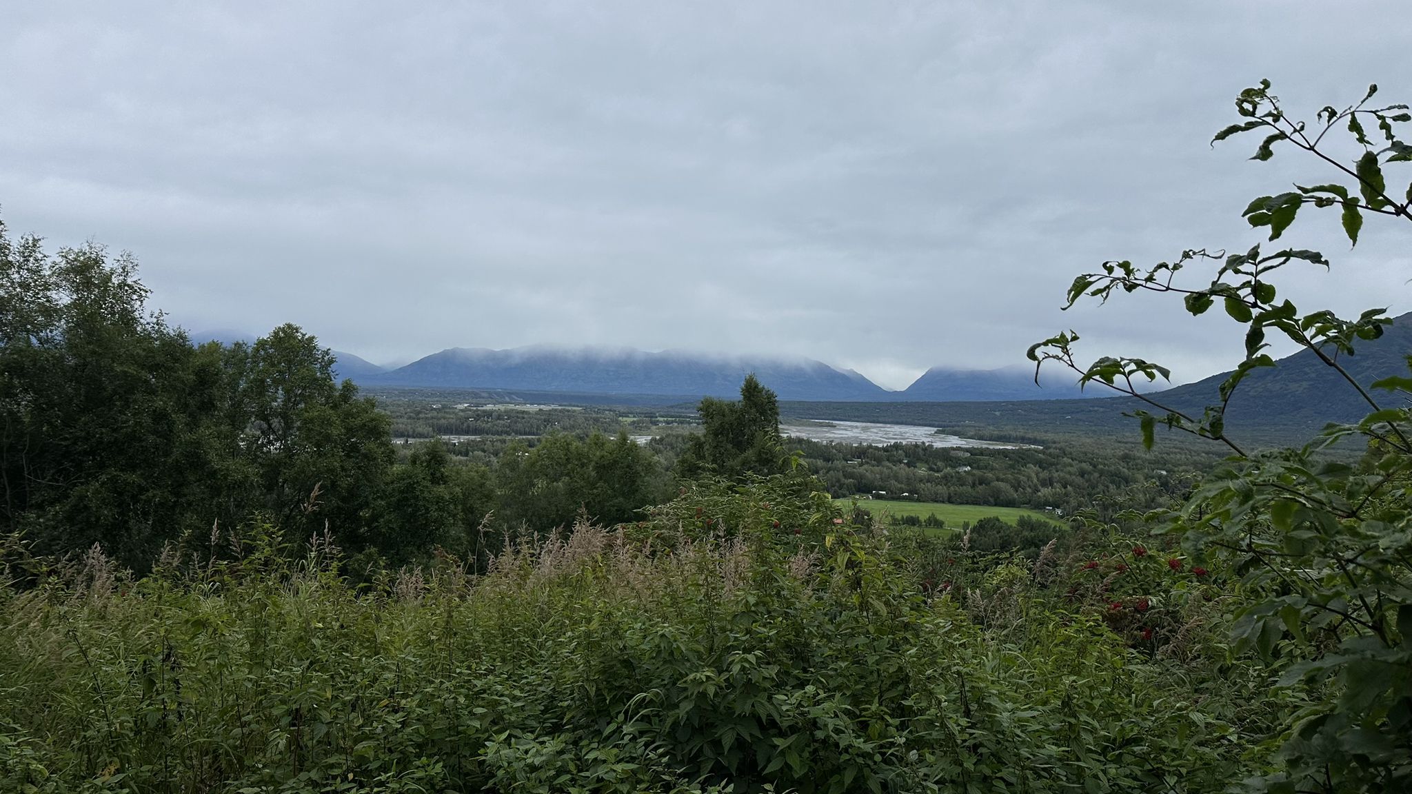 Lush green foliage frames a wide valley with distant mountains under a cloudy sky. - West Butte Trail