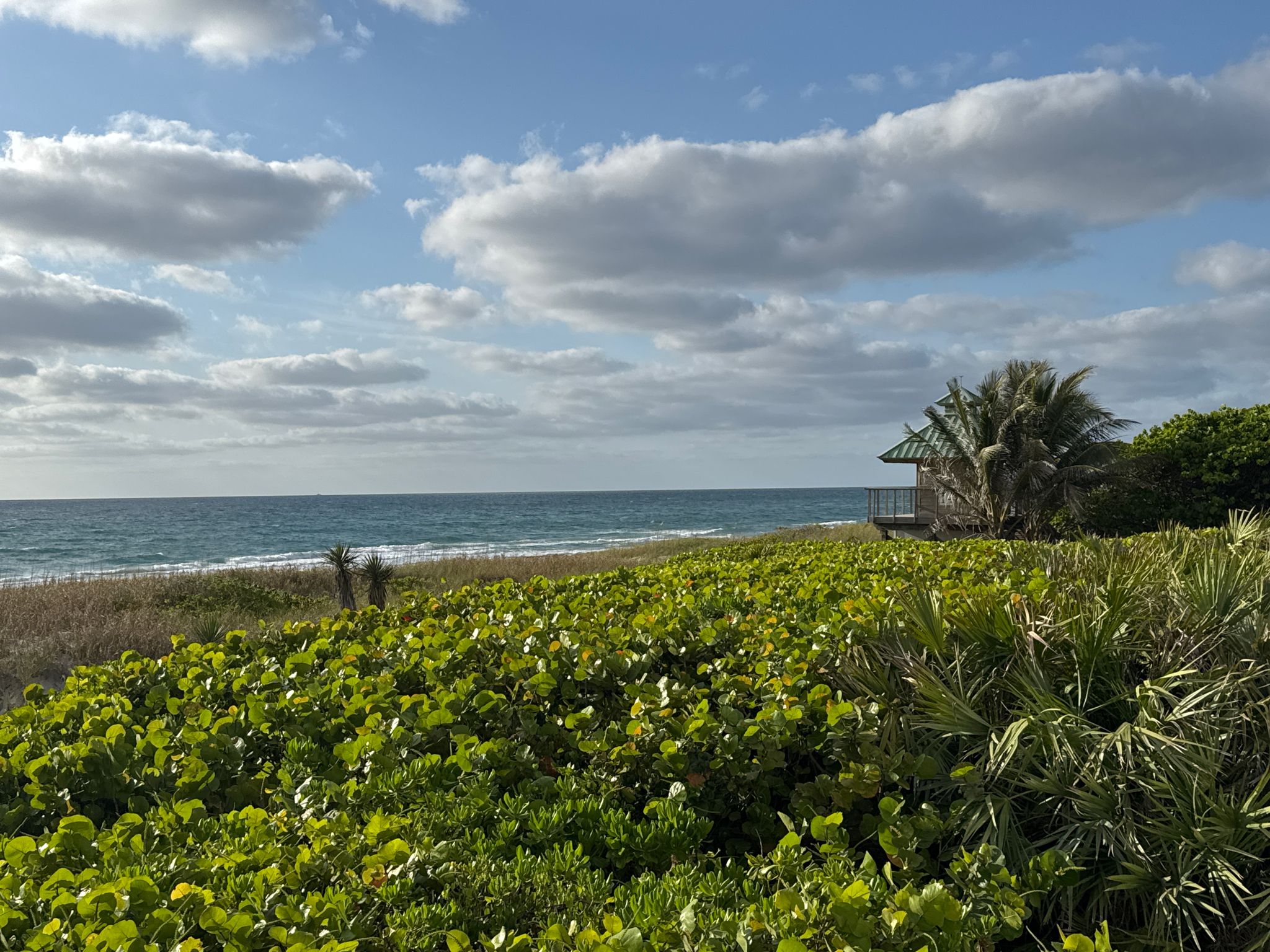Ocean and beach with a small building among lush green coastal vegetation. - South Rogers Circle via West Hillsboro Boulevard loop